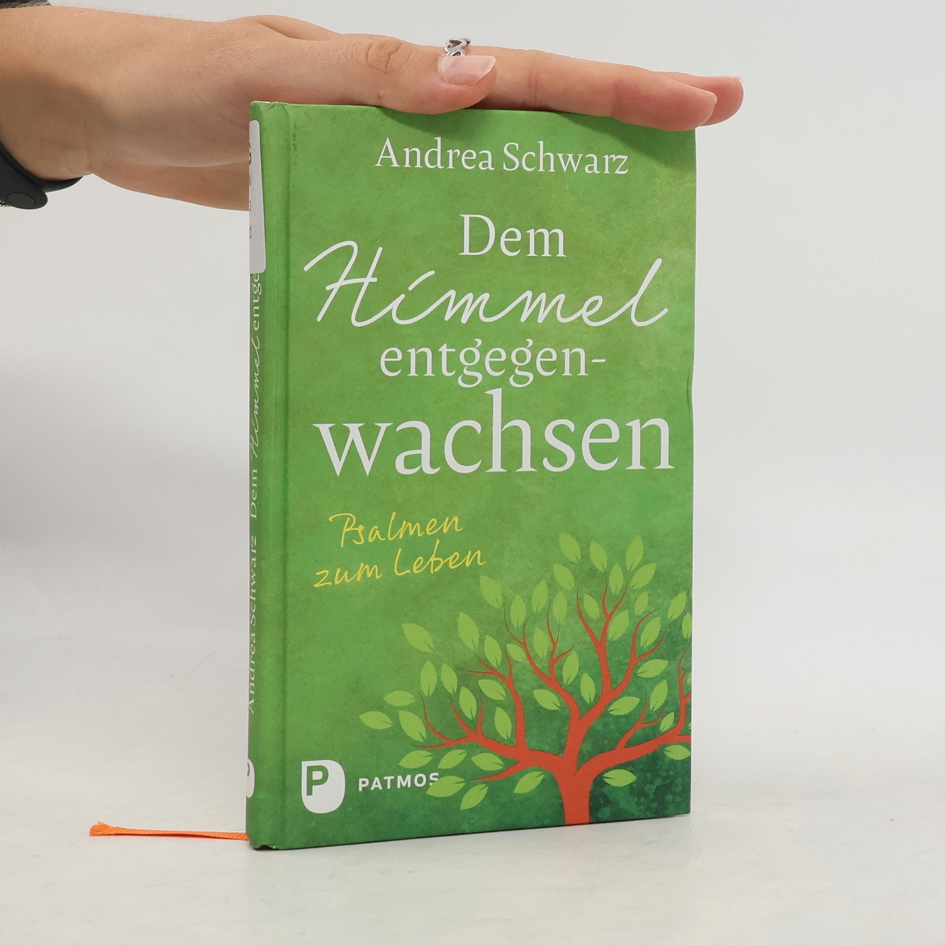 Andrea Schwarz Dem Himmel entgegenwachsen