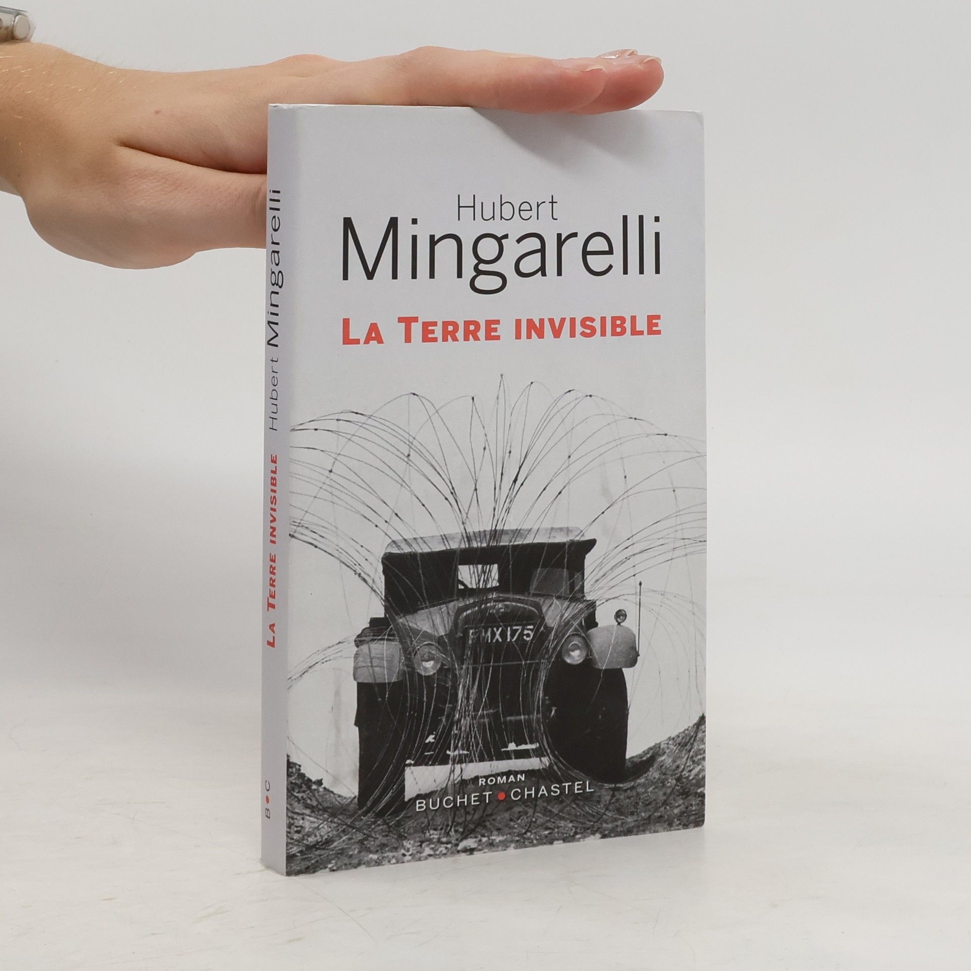 Hubert Mingarelli La terre invisible