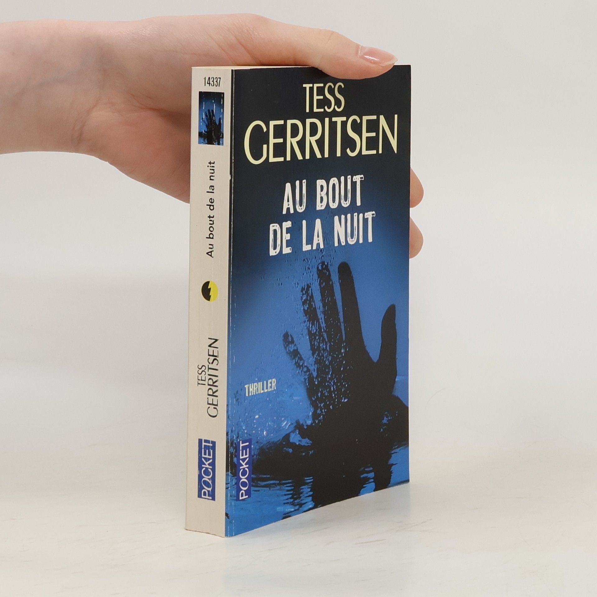 Tess Gerritsen Au bout de la nuit