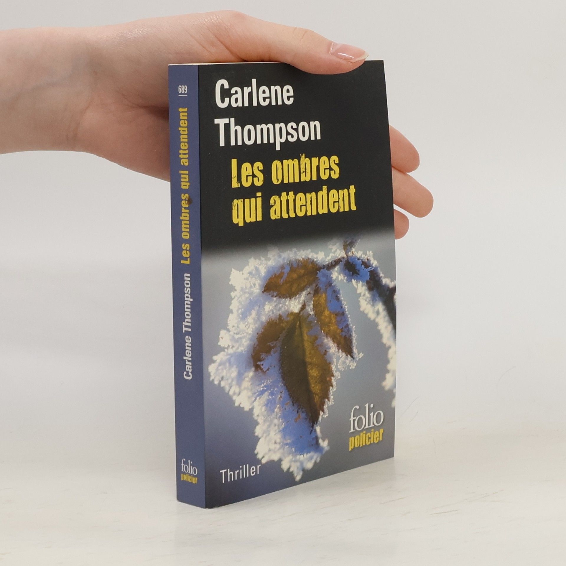 Carlene Thompson Les ombres qui attendent