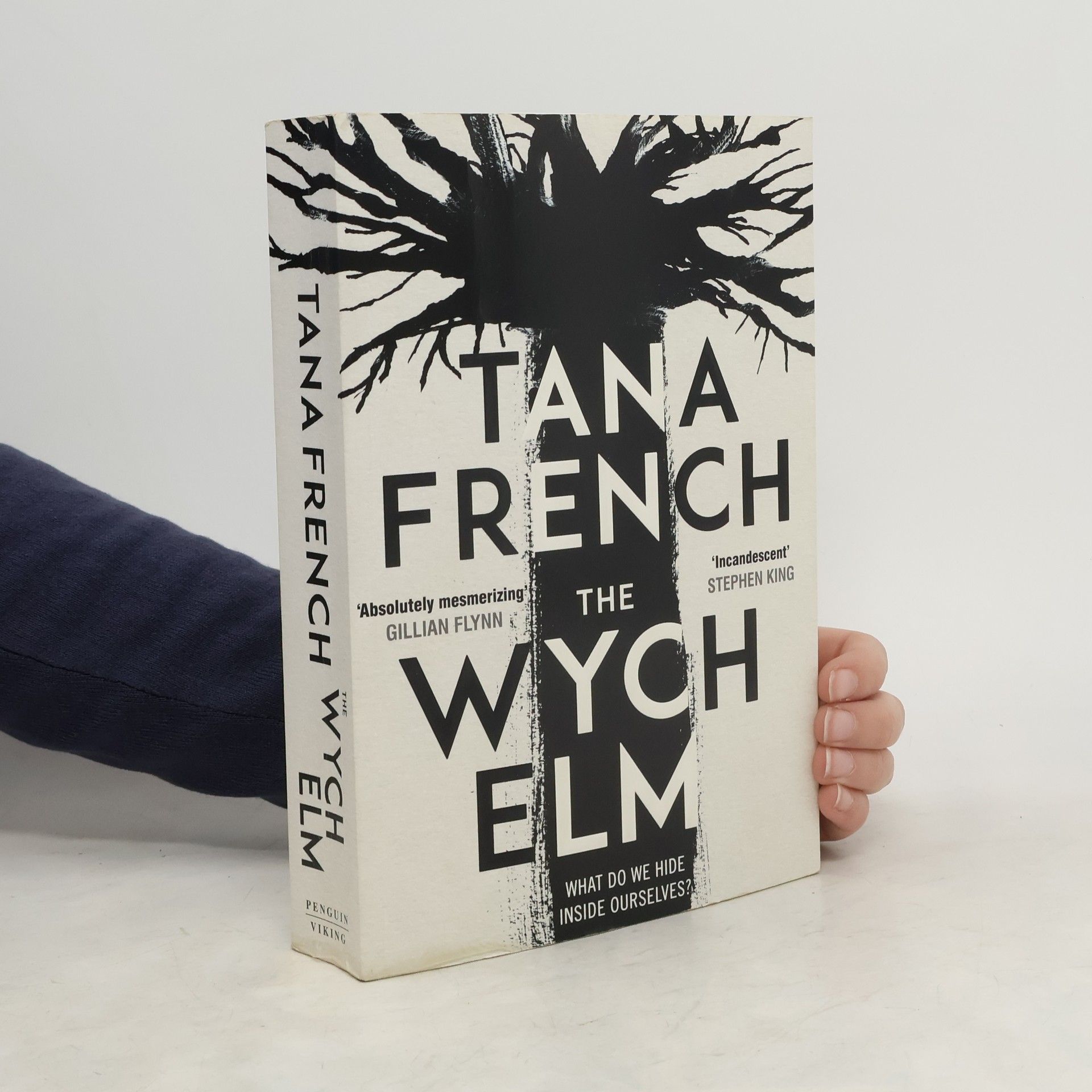 Tana French The Wych Elm