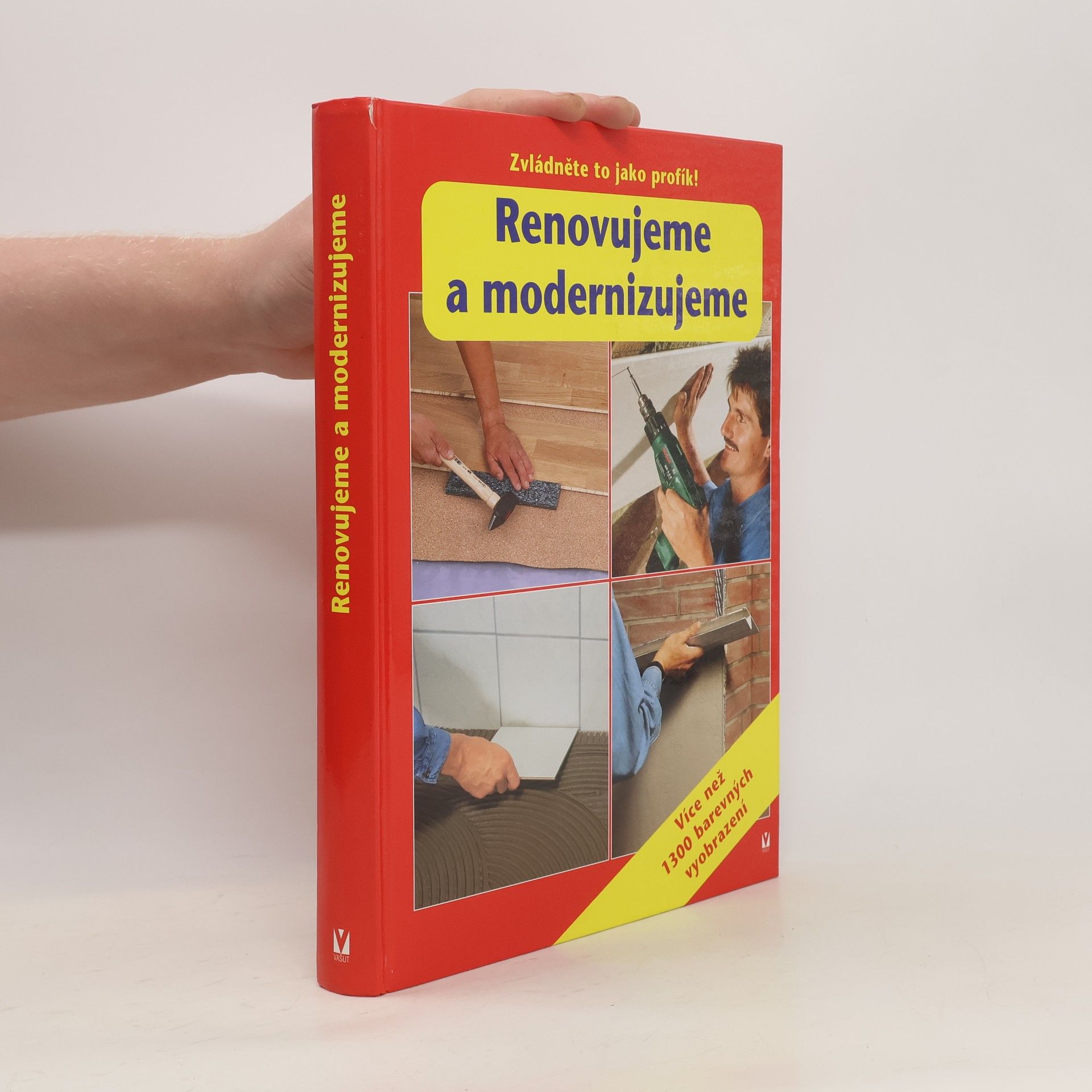 Various authors Renovujeme a modernizujeme