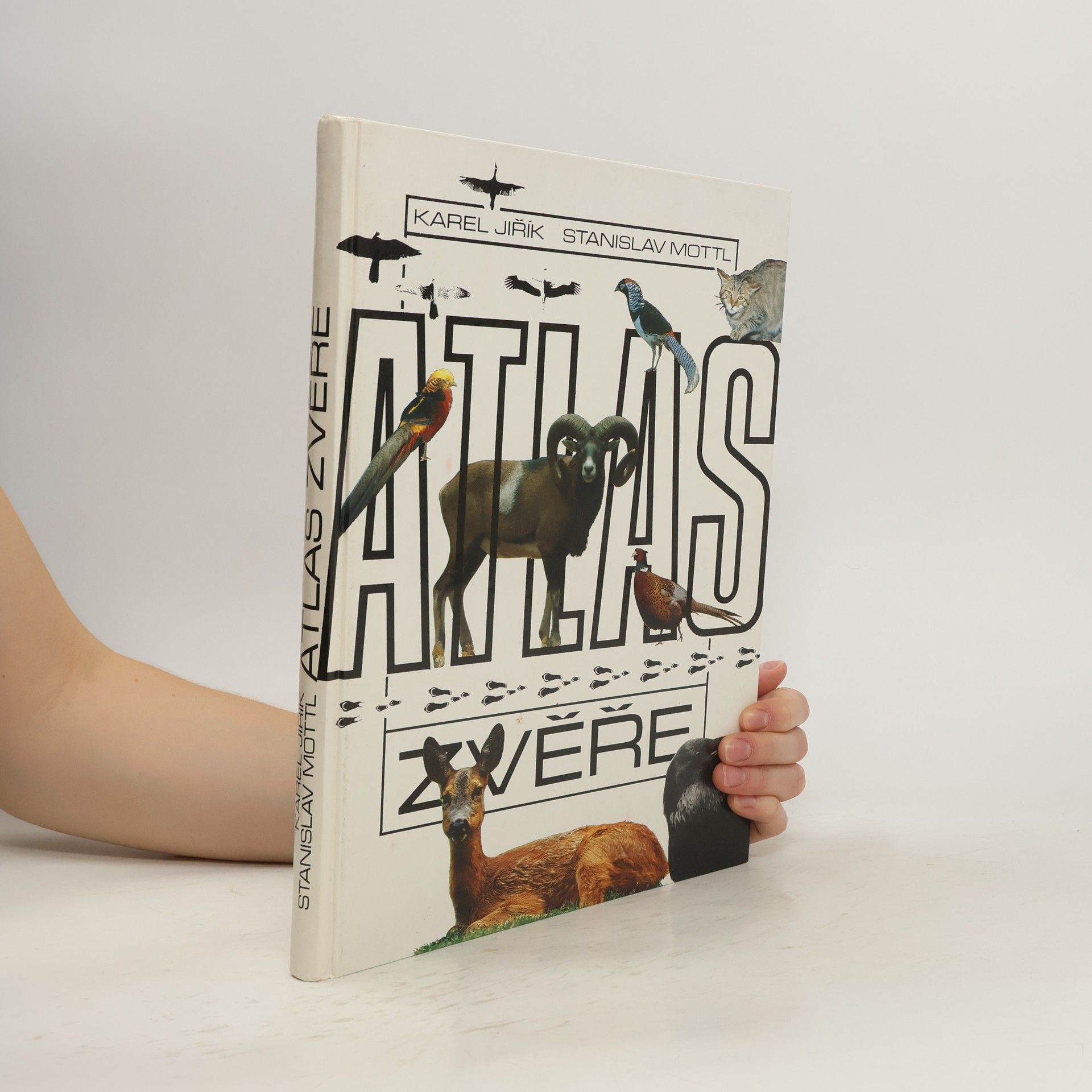 Stanislav Mottl Atlas zvěře