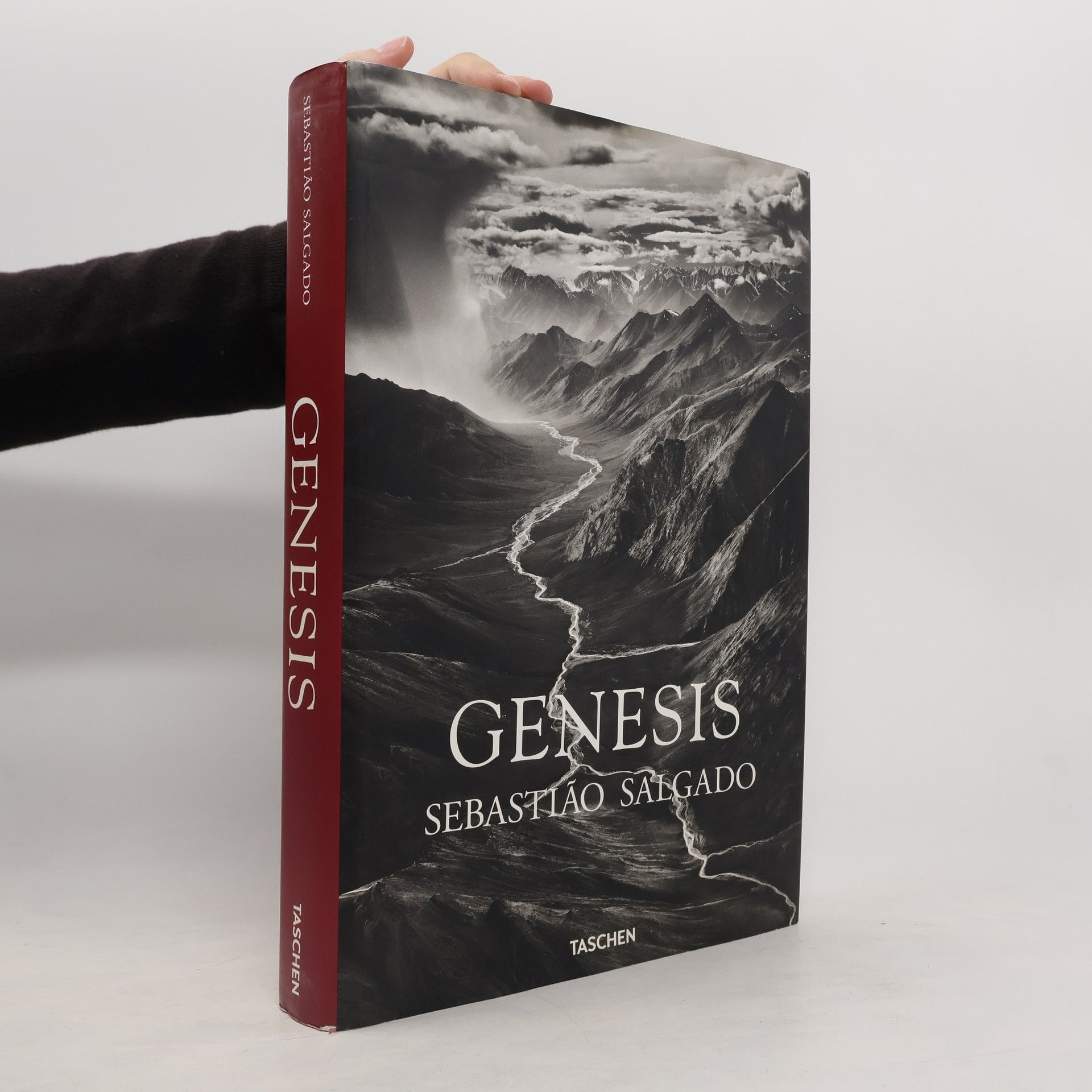 Sebastiao Salgado Genesis