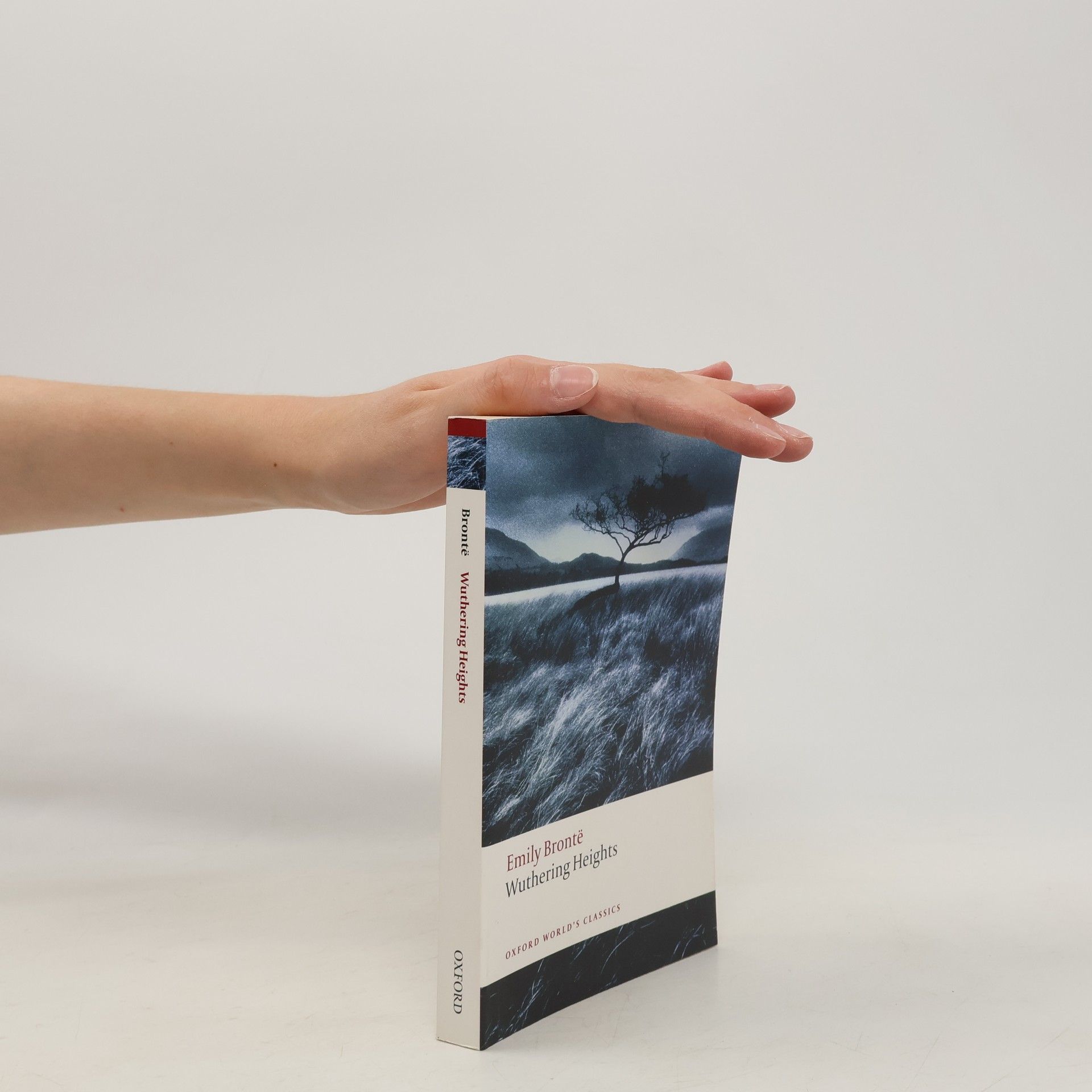 Emily Brontë Wuthering Heights