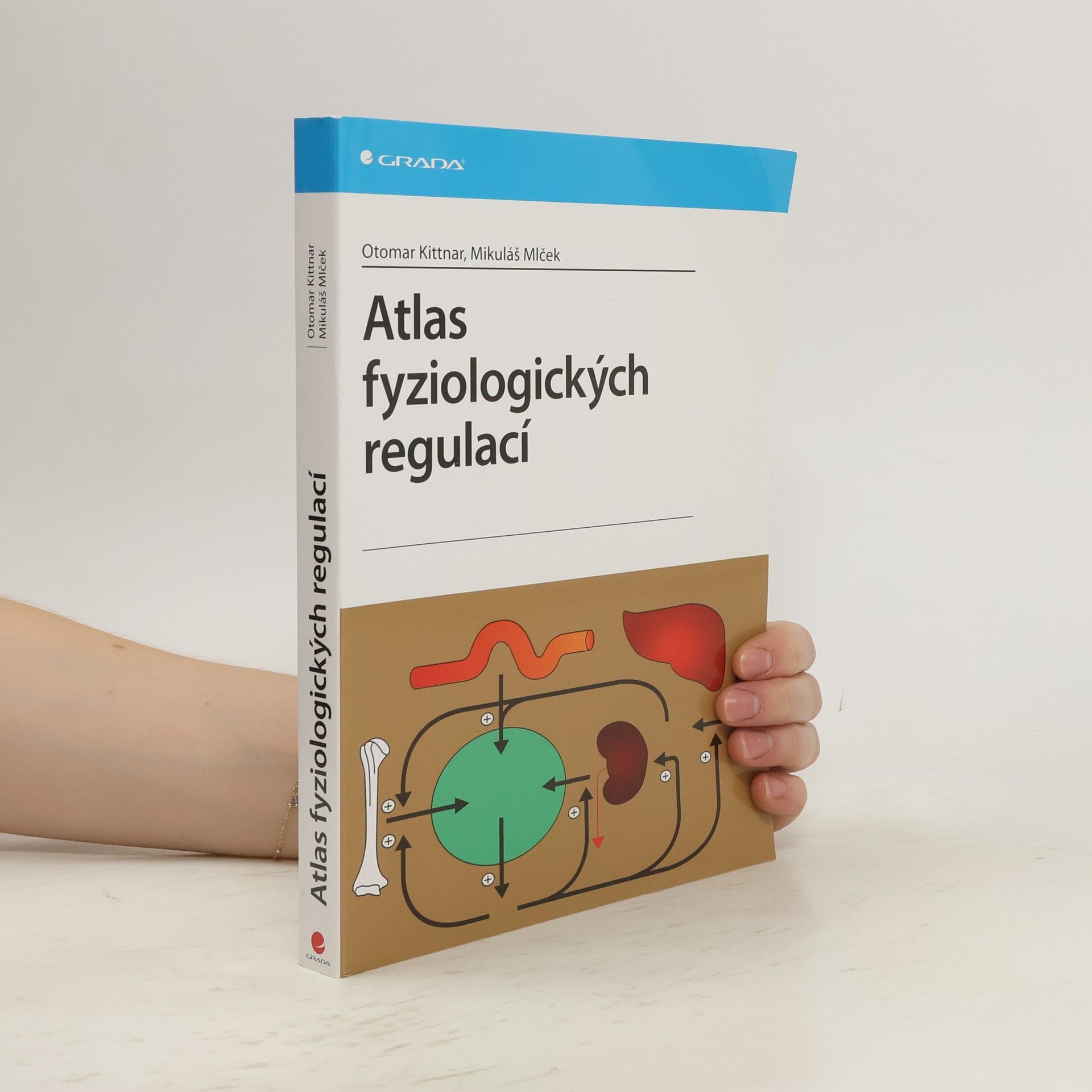 Otomar Kittnar Atlas fyziologických regulací. 329 schémat