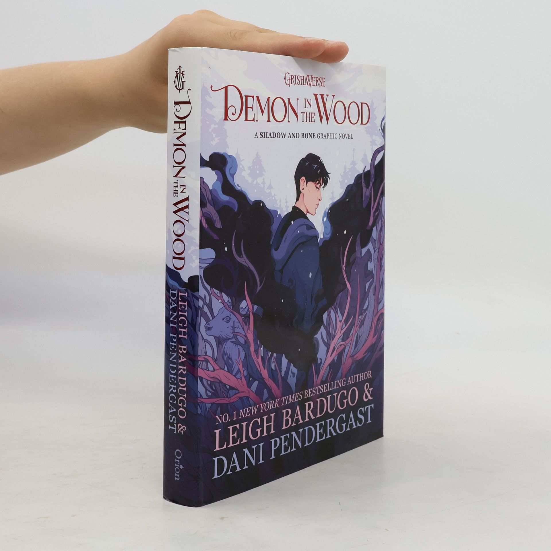 Leigh Bardugo Grishaverse: Demon in the wood