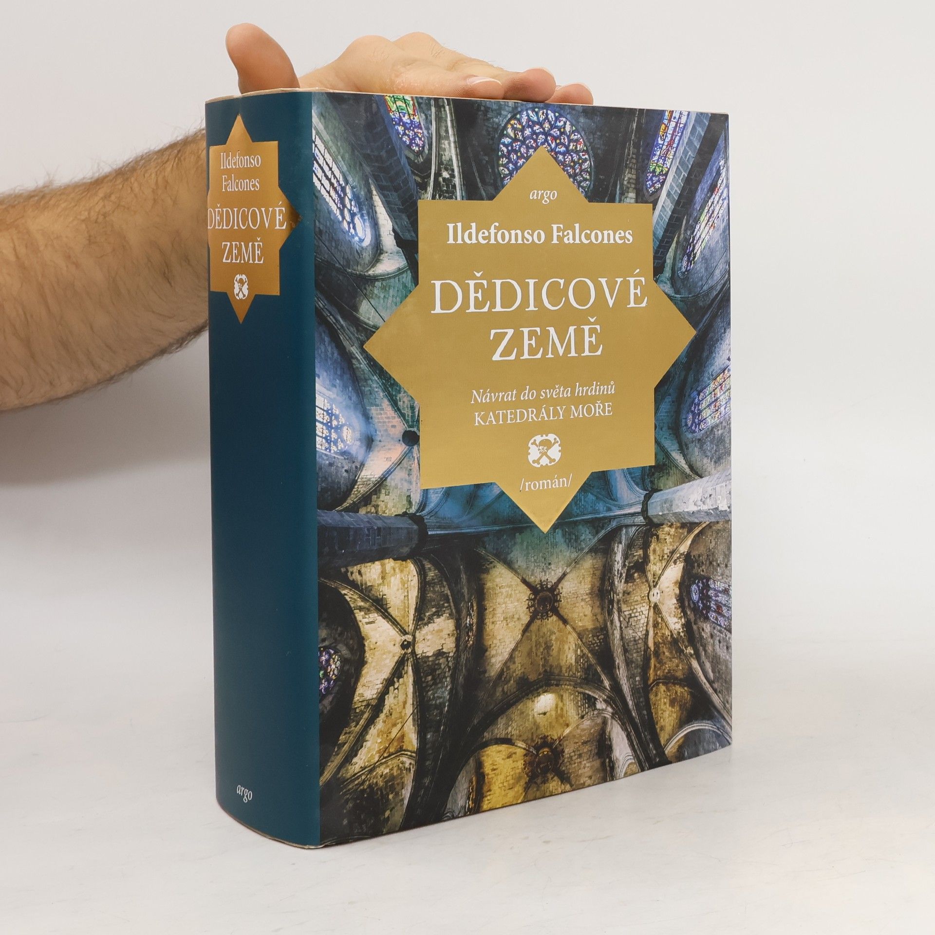 Ildefonso Falcones Dědicové země