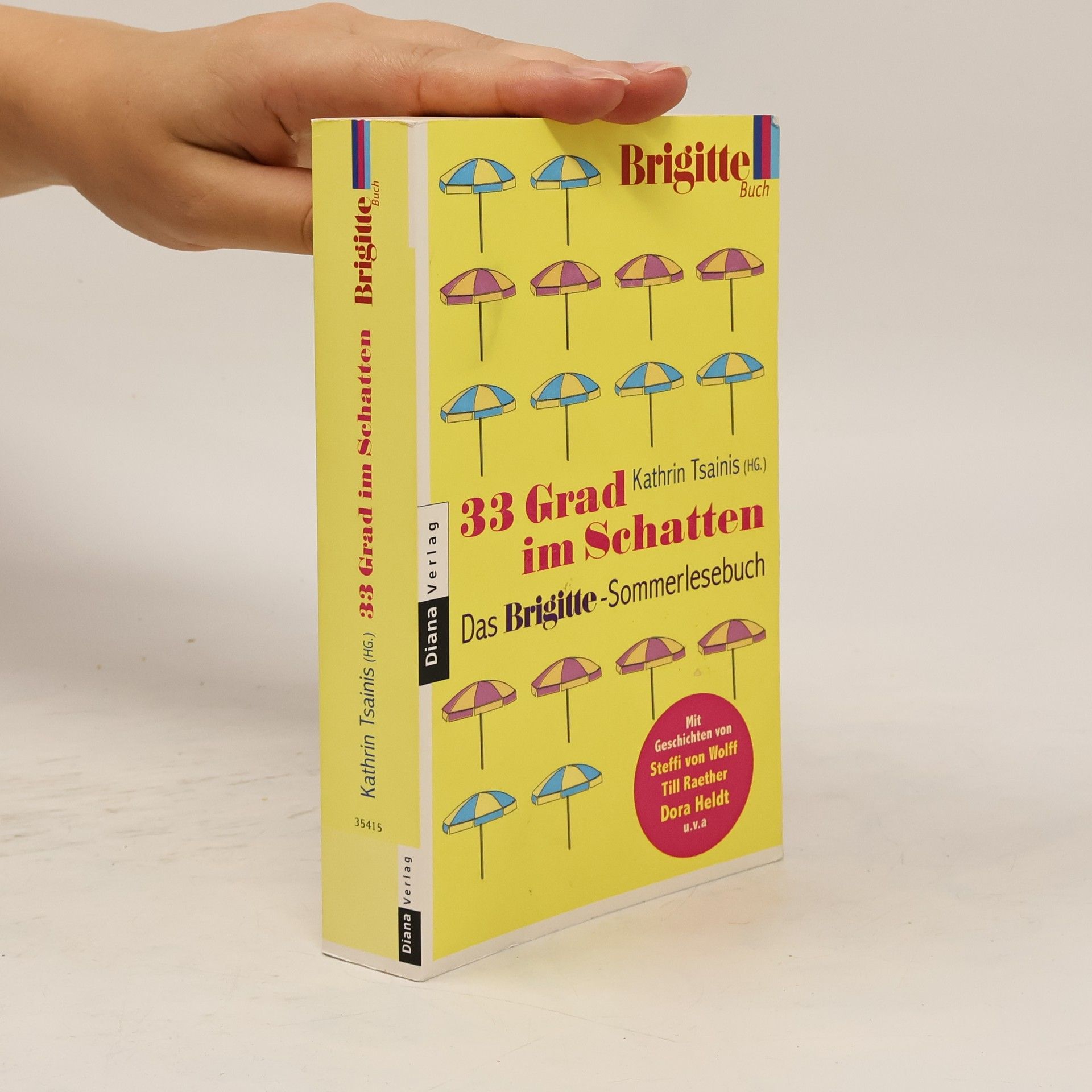 Kathrin Tsainis 33 Grad im Schatten: Das Brigitte-Sommerlesebuch