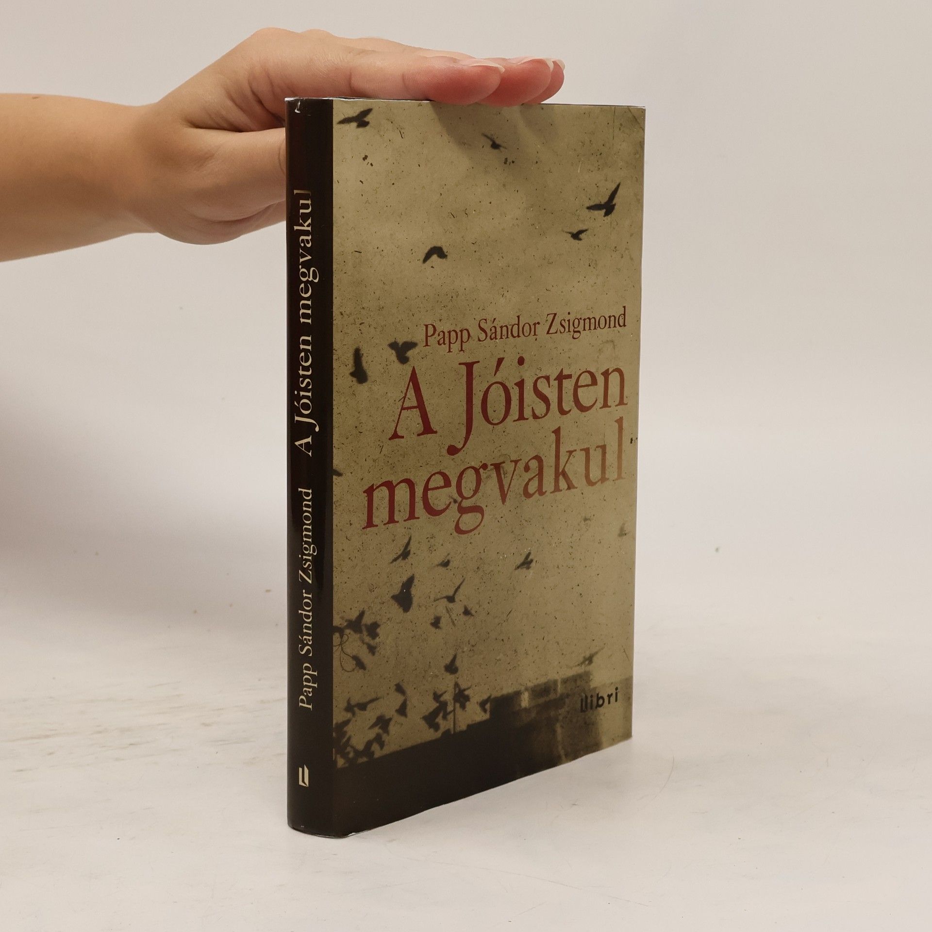 Sándor Zsigmond Papp A Jóisten megvakul