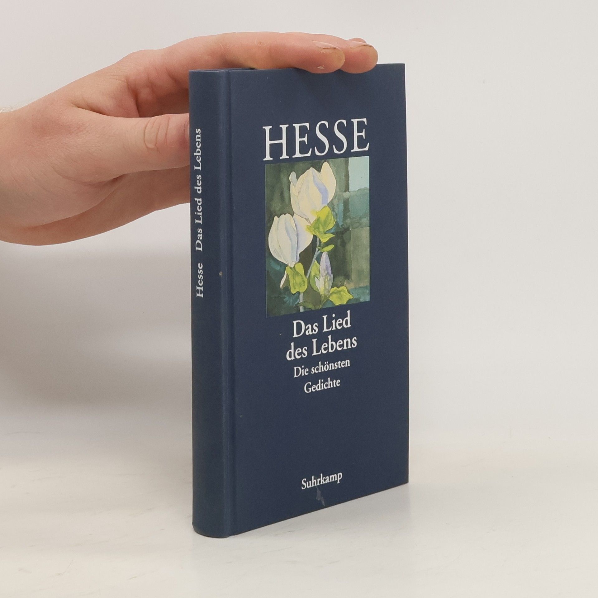 Hermann Hesse Das Lied des Lebens. Die schönsten Gedichte von Hermann Hesse