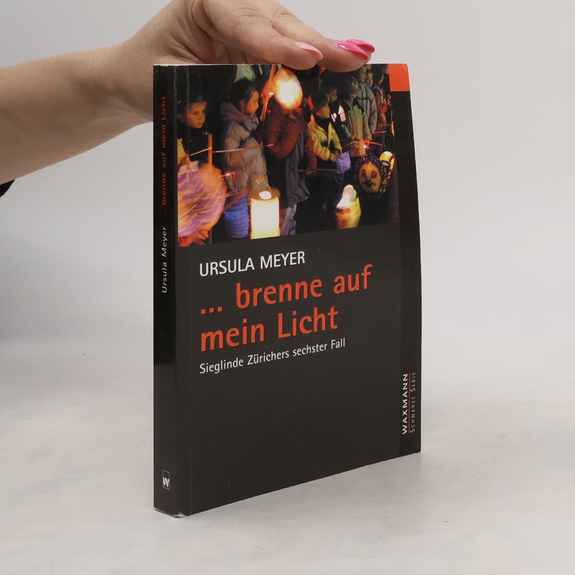 Ursula Meyer-Semlies ... brenne auf mein Licht. Sieglinde Zürichers sechster Fall