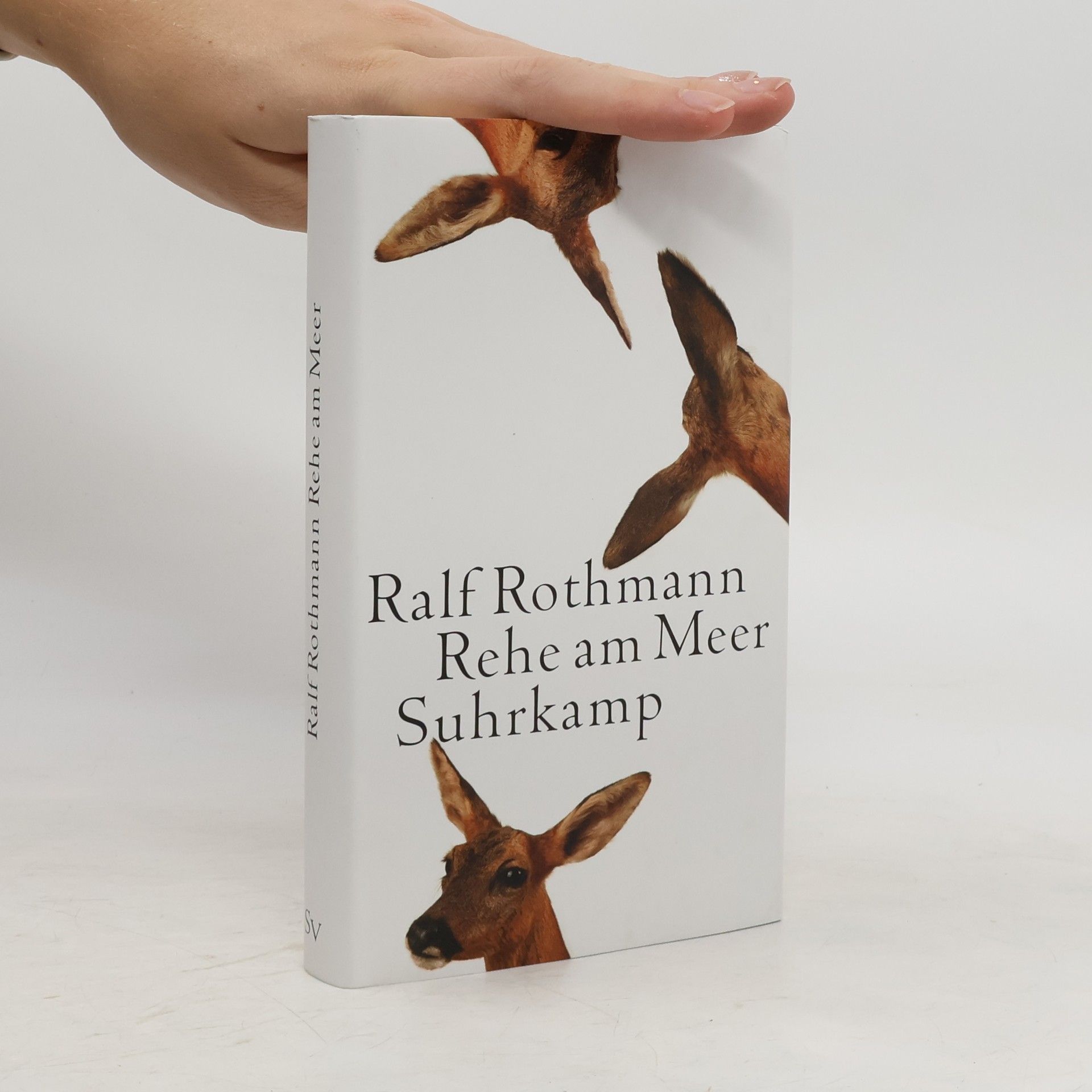 Ralf Rothmann Rehe am Meer Suhrkamp