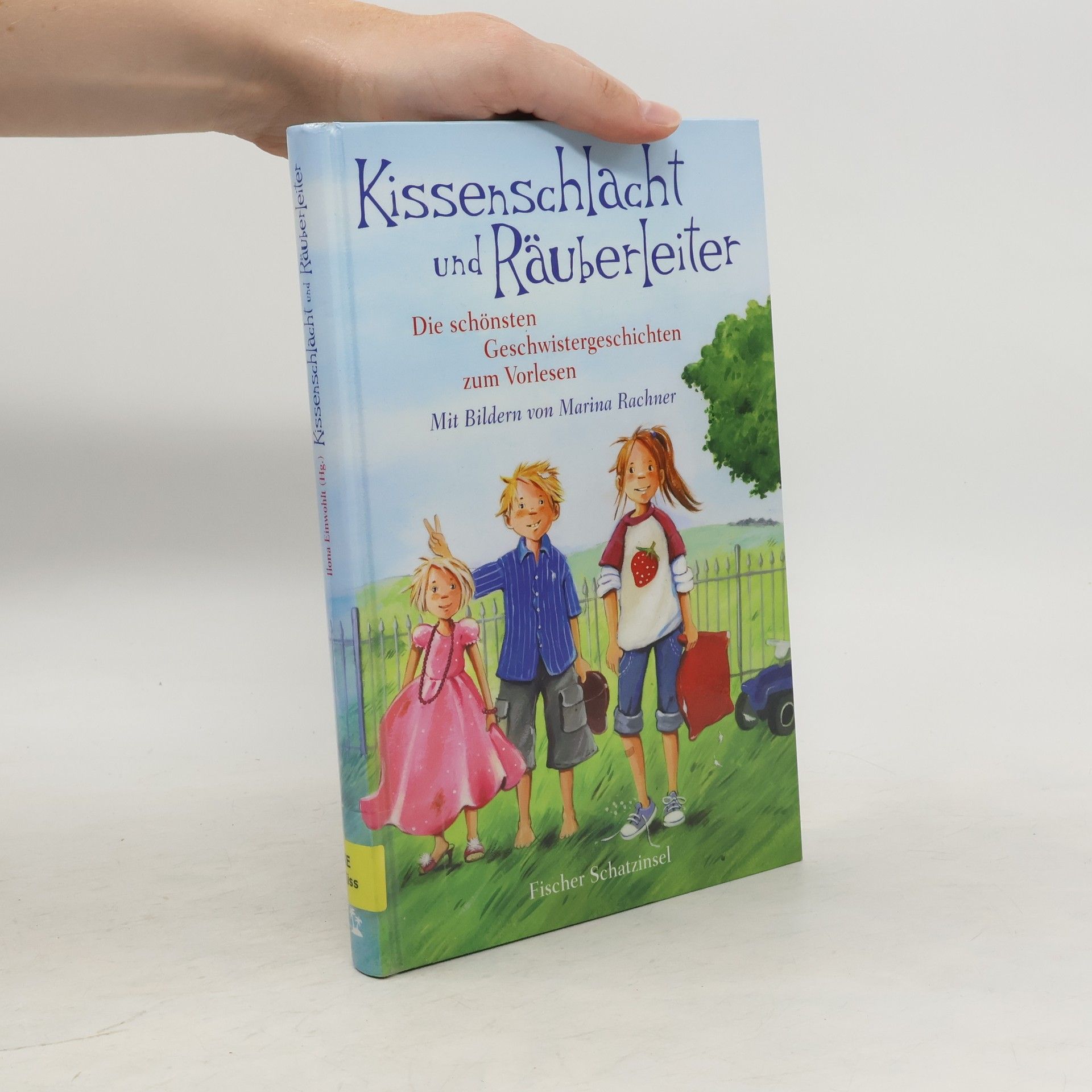 Ilona Einwohlt Kissenschlacht und Räuberleiter
