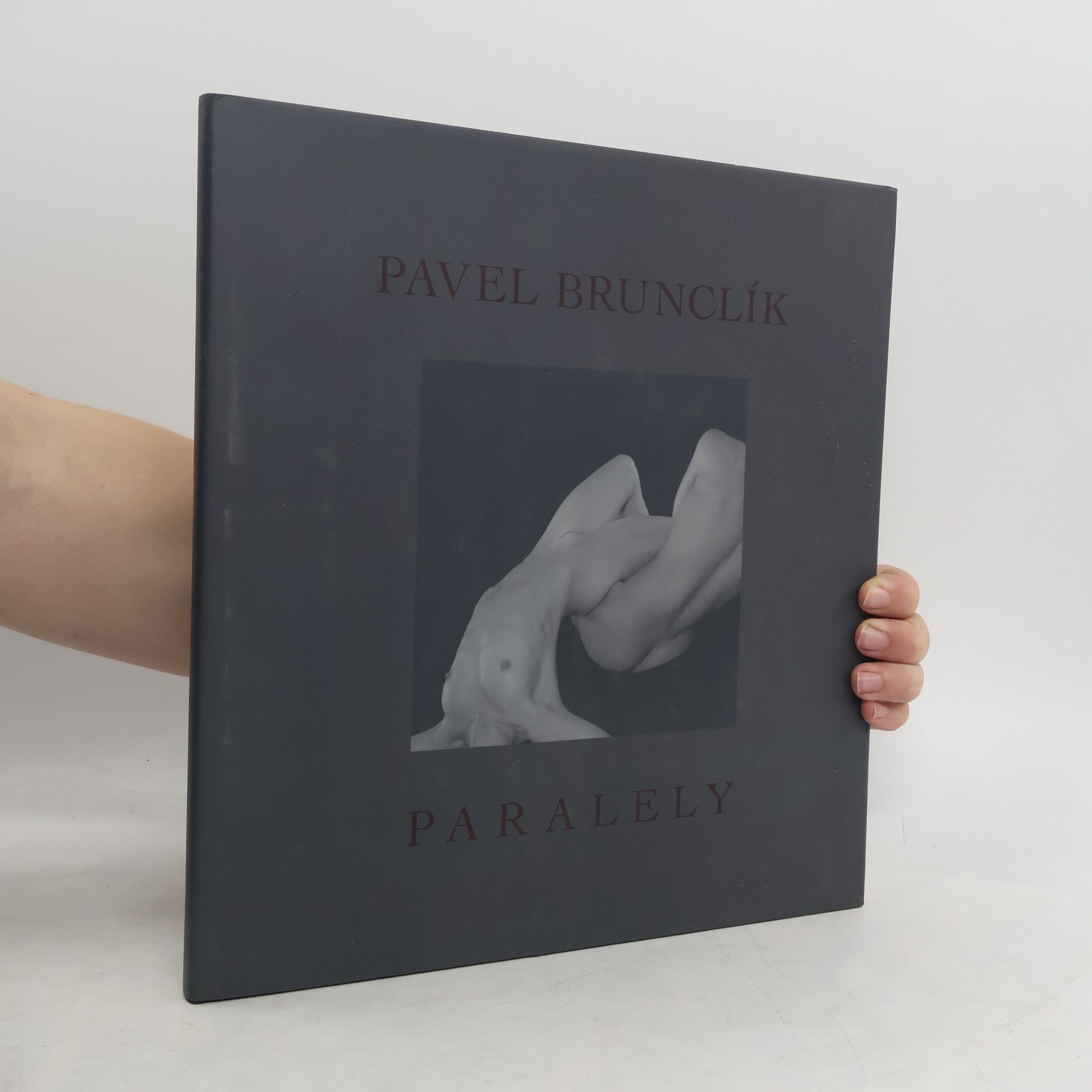 Pavel Brunclík Paralely