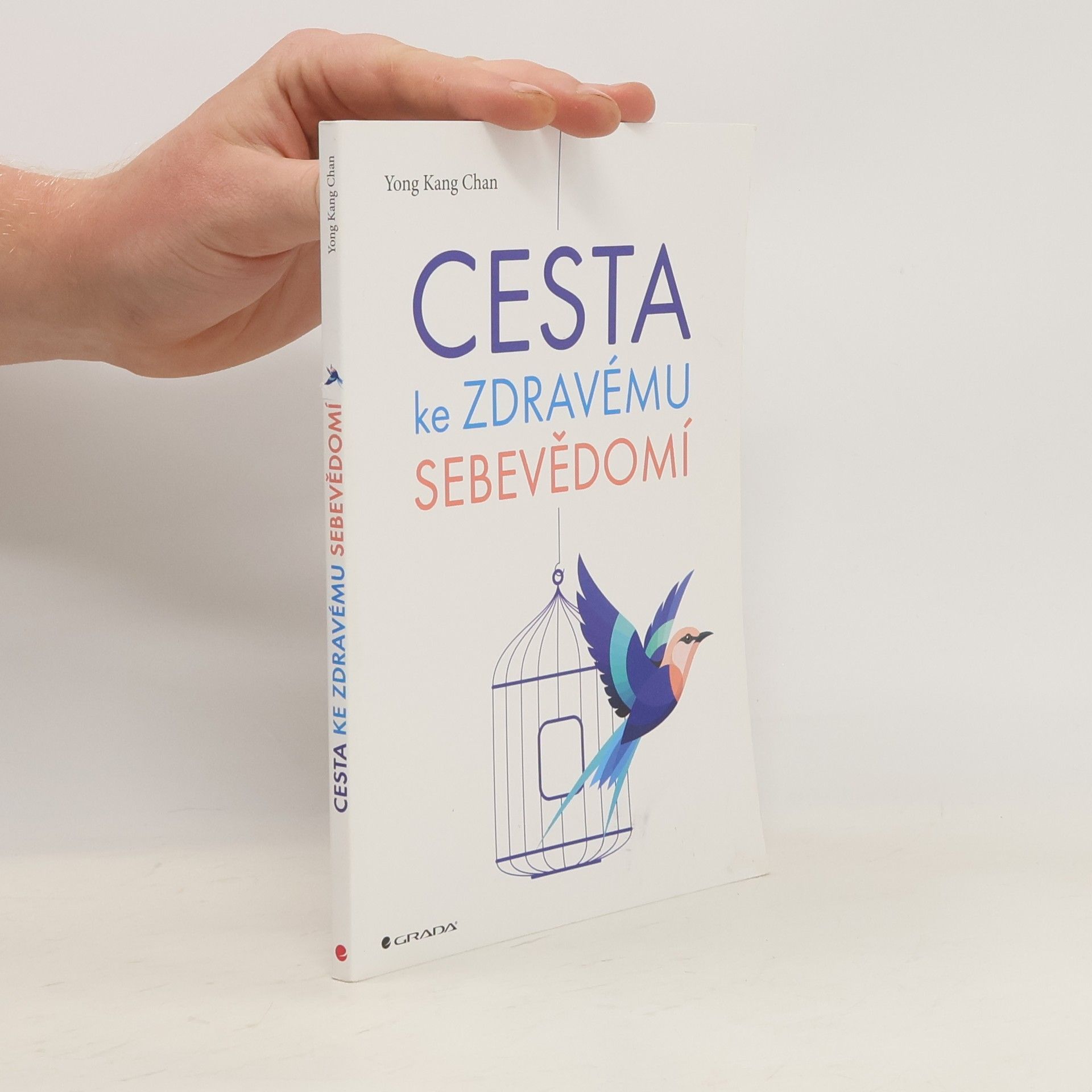 Yong Kang Chan Cesta ke zdravému sebevědomí