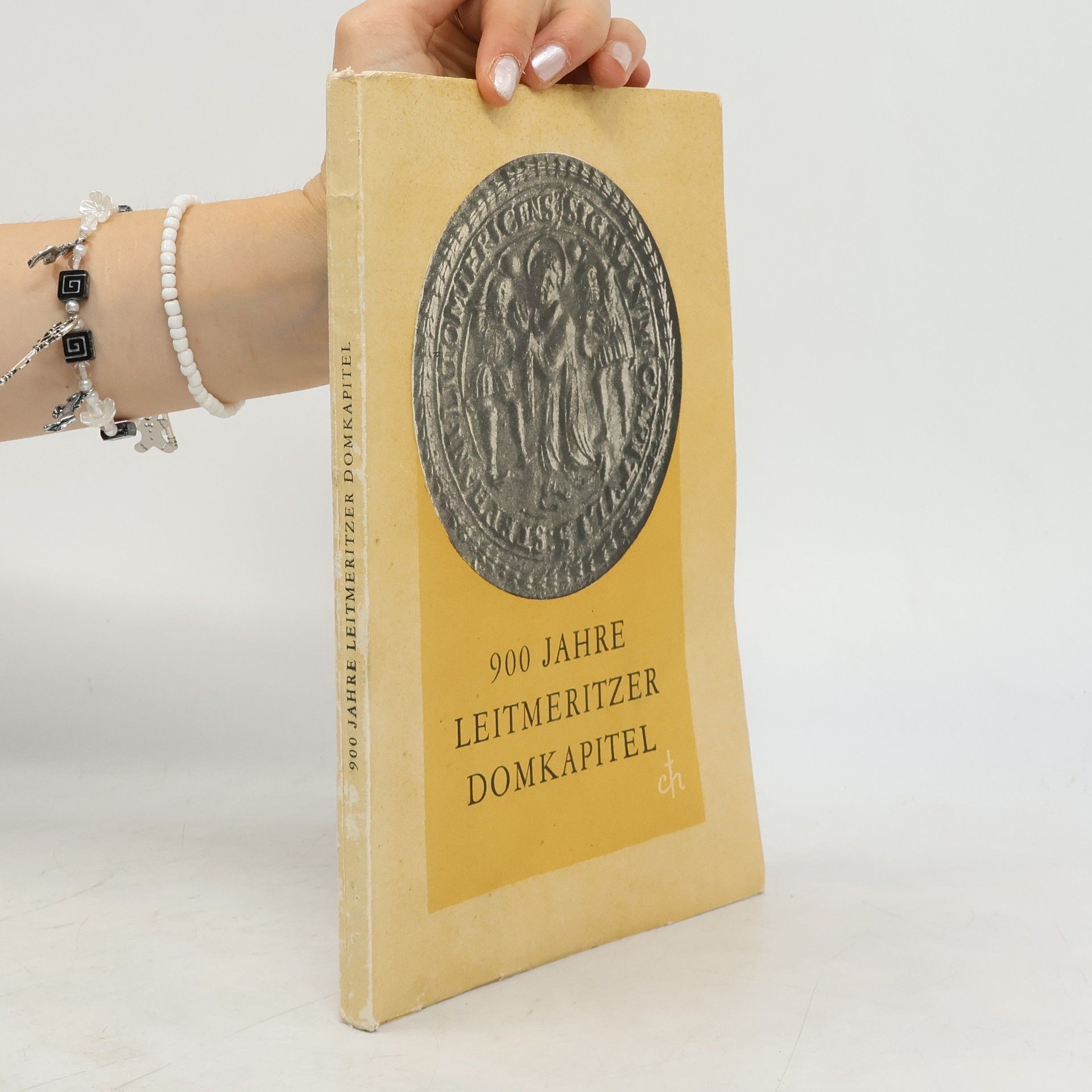 Autorenkollektiv 900 Jahre Leitmeritzer Domkapitel