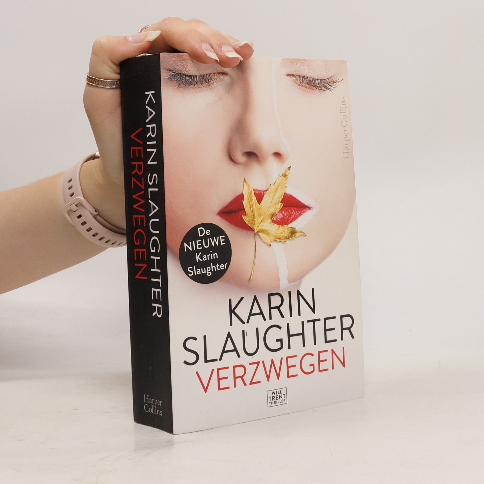Karin Slaughter Will Trent: Verzwegen