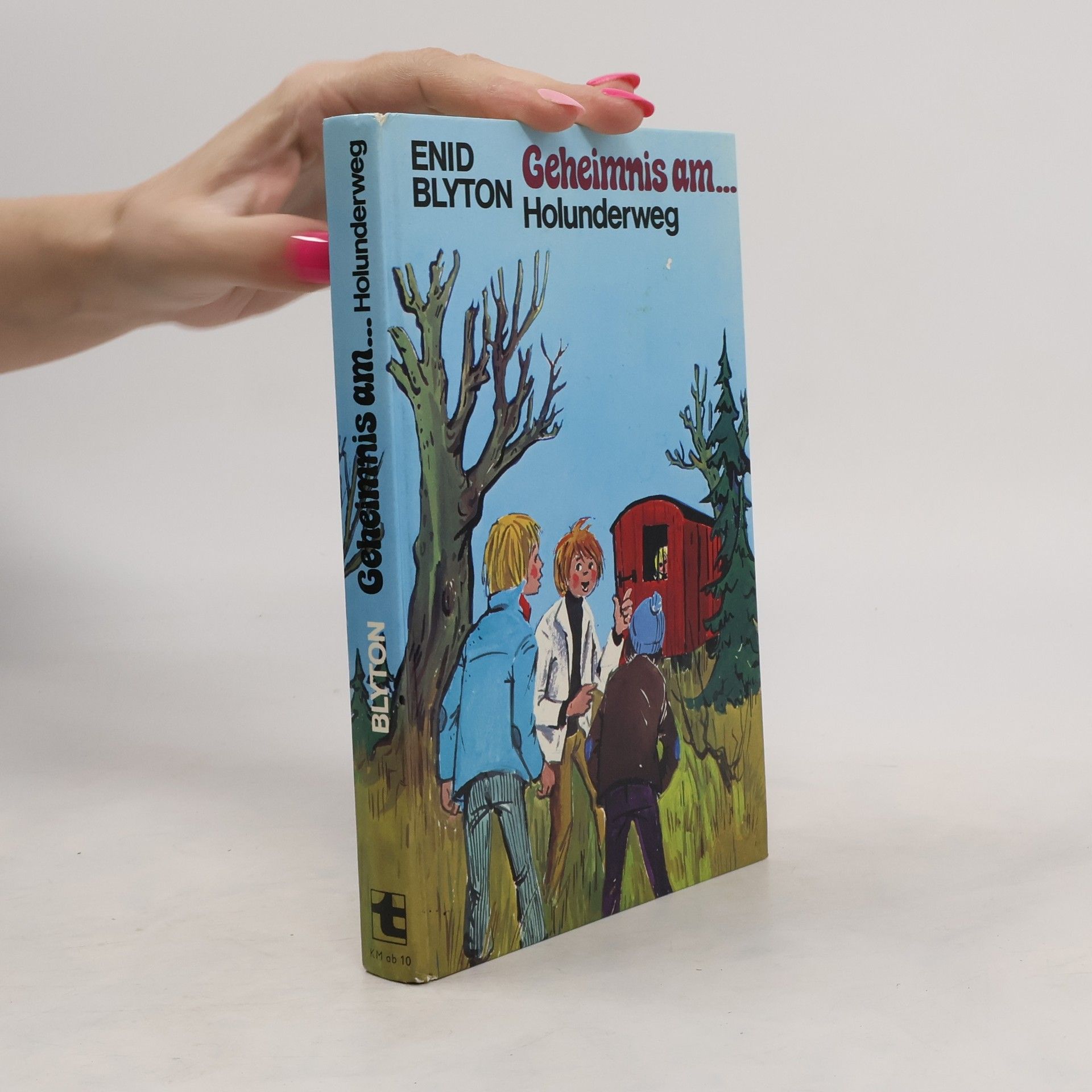 Enid Blyton Geheimnis am Holunderweg