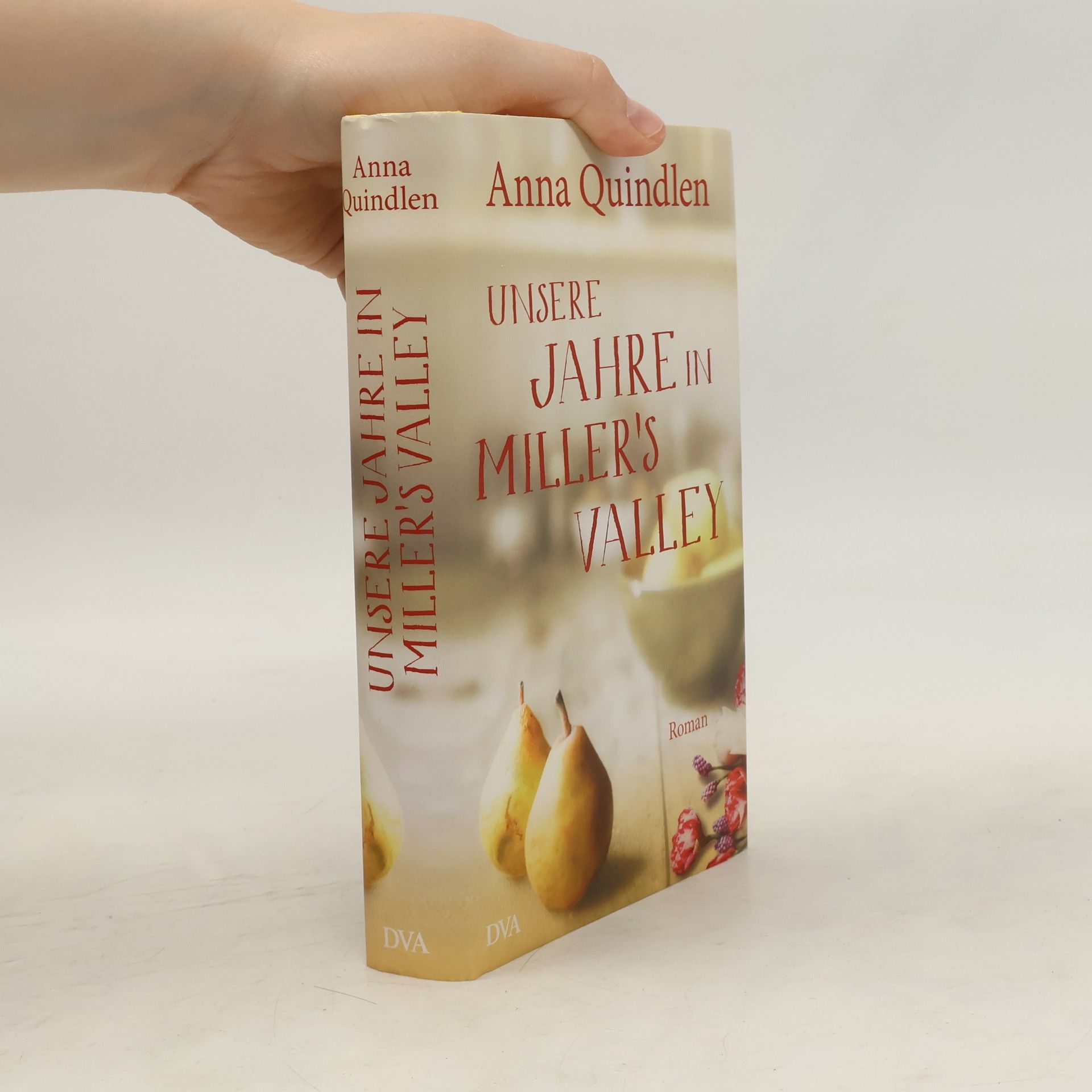 Anna Quindlen Unsere Jahre in Miller's Valley