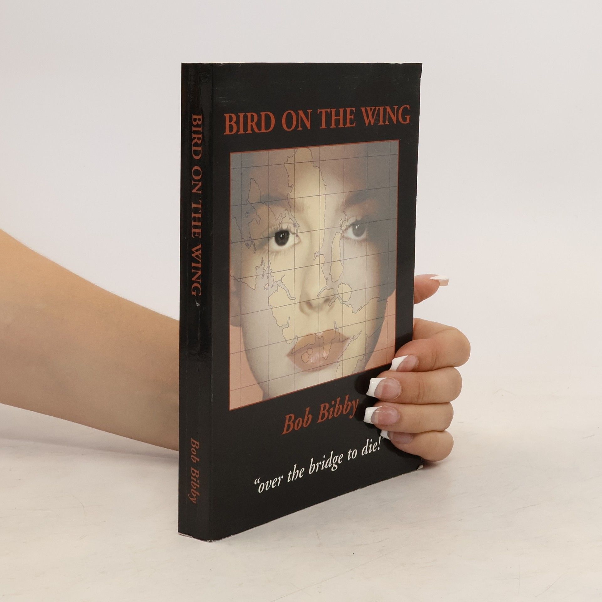 Bob Bibby Bird on the Wing