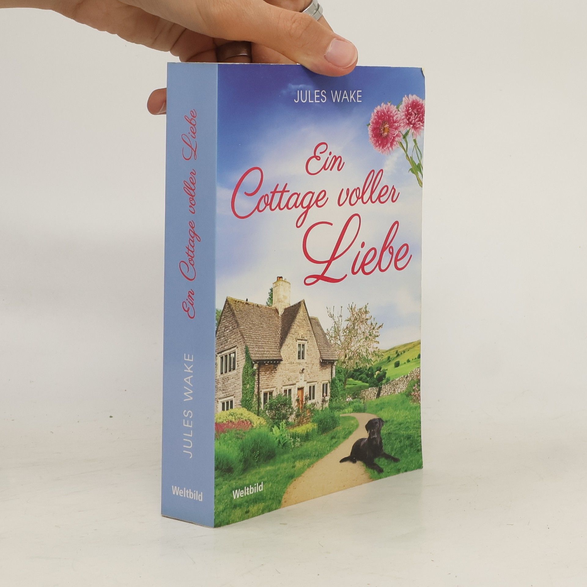 Julie Caplin Ein Cottage voller Liebe