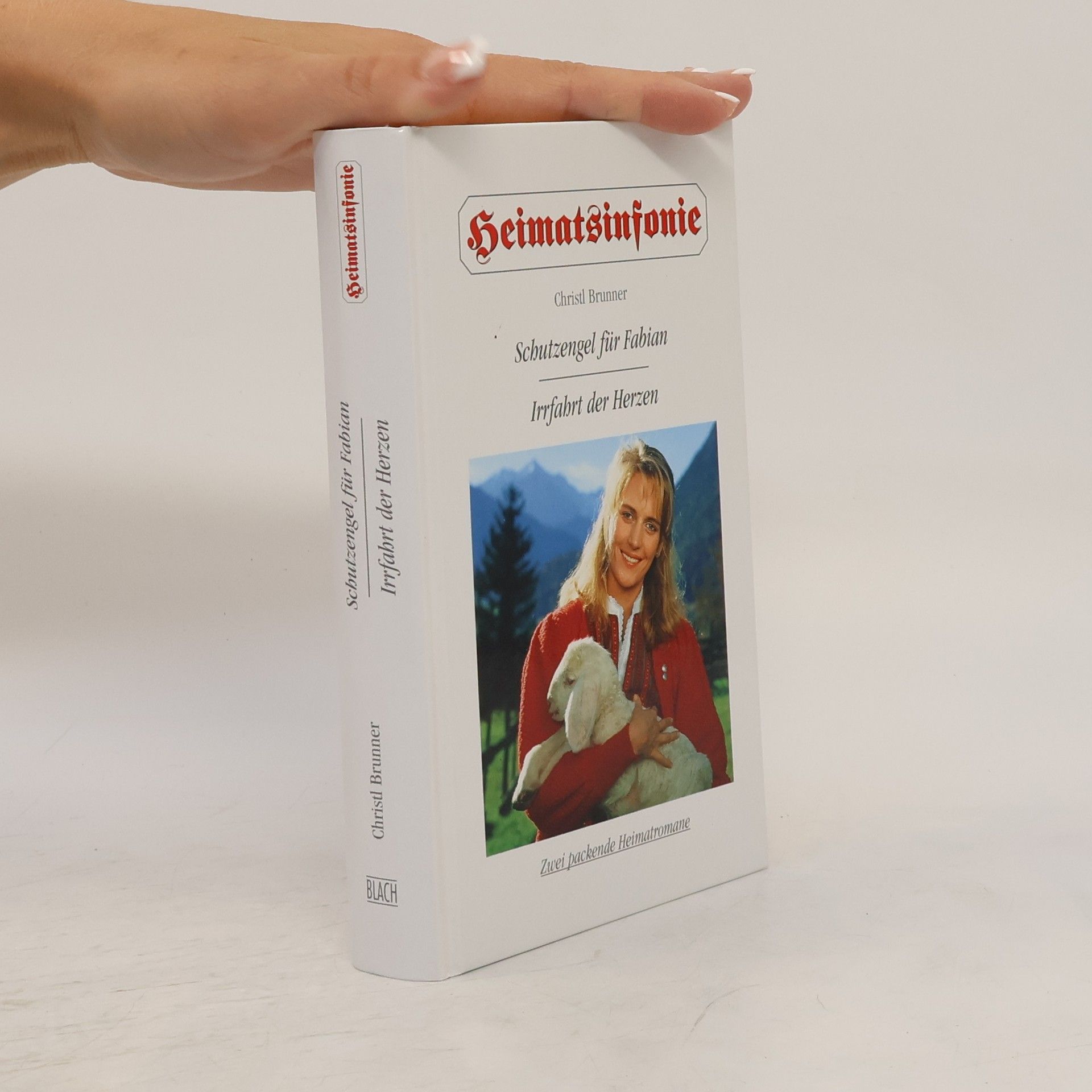 Christl Brunner Schutzengel für Fabian. Irrfahrt der Herzen