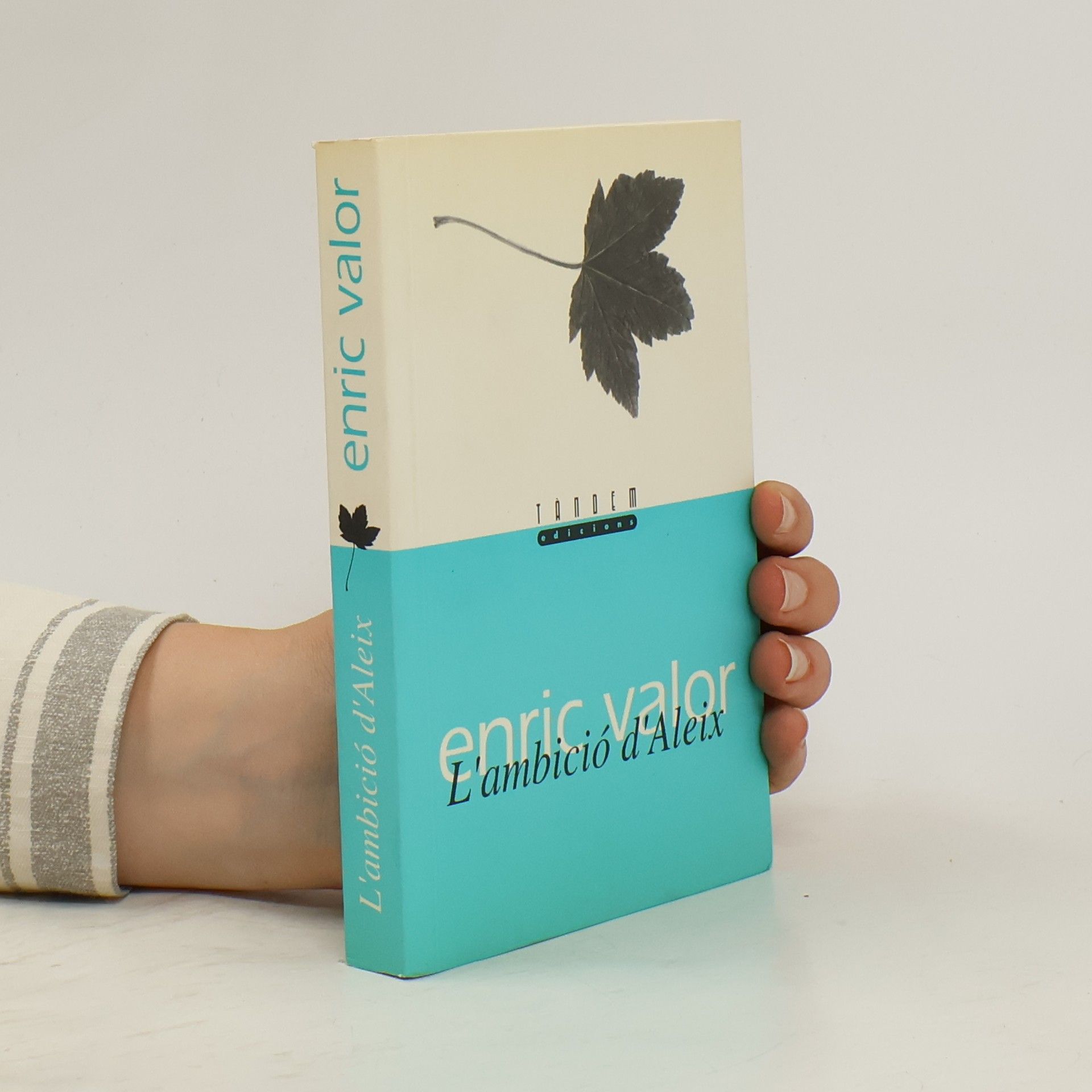 Enric Valor Vives L'ambició d'Aleix