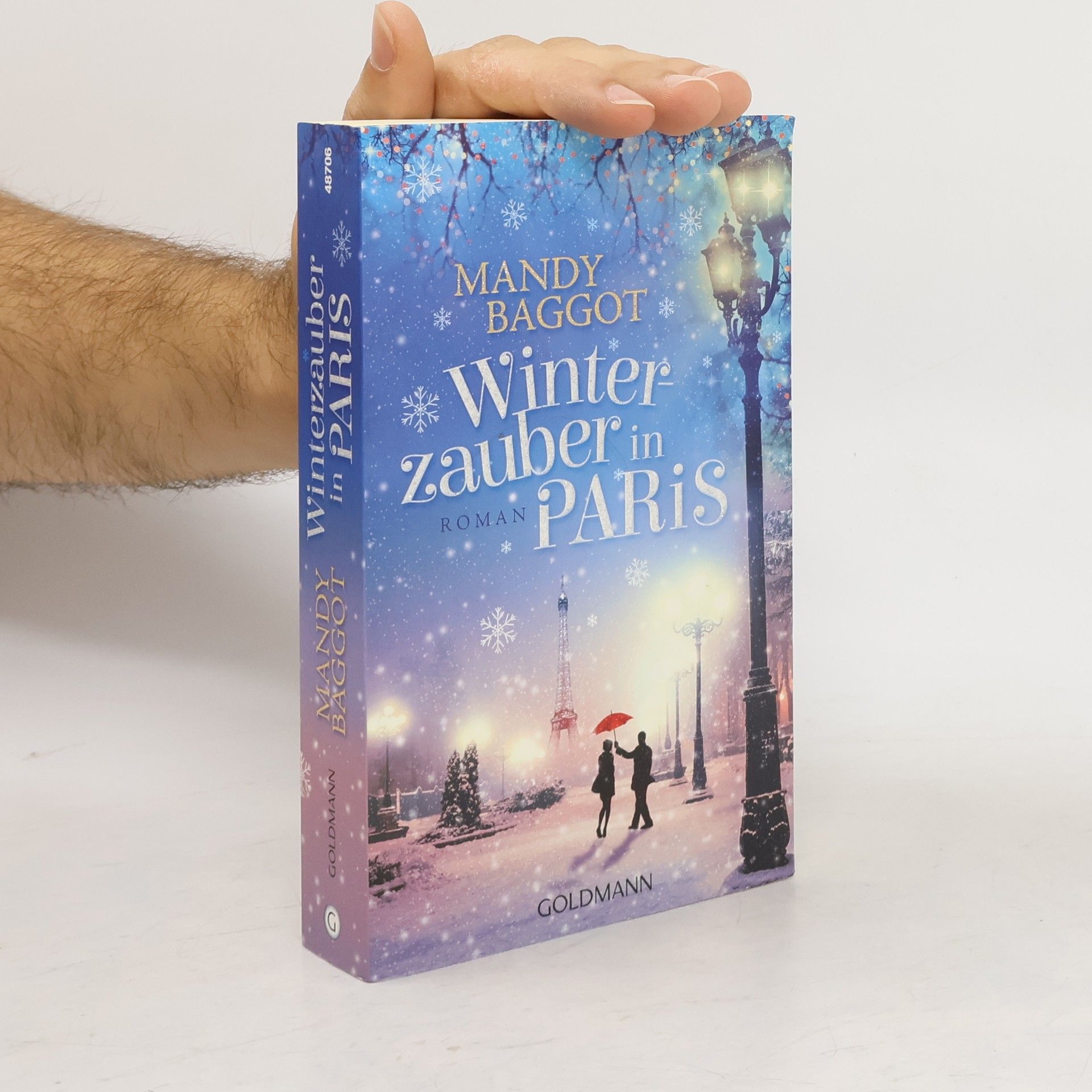 Mandy Baggot Winterzauber in Paris
