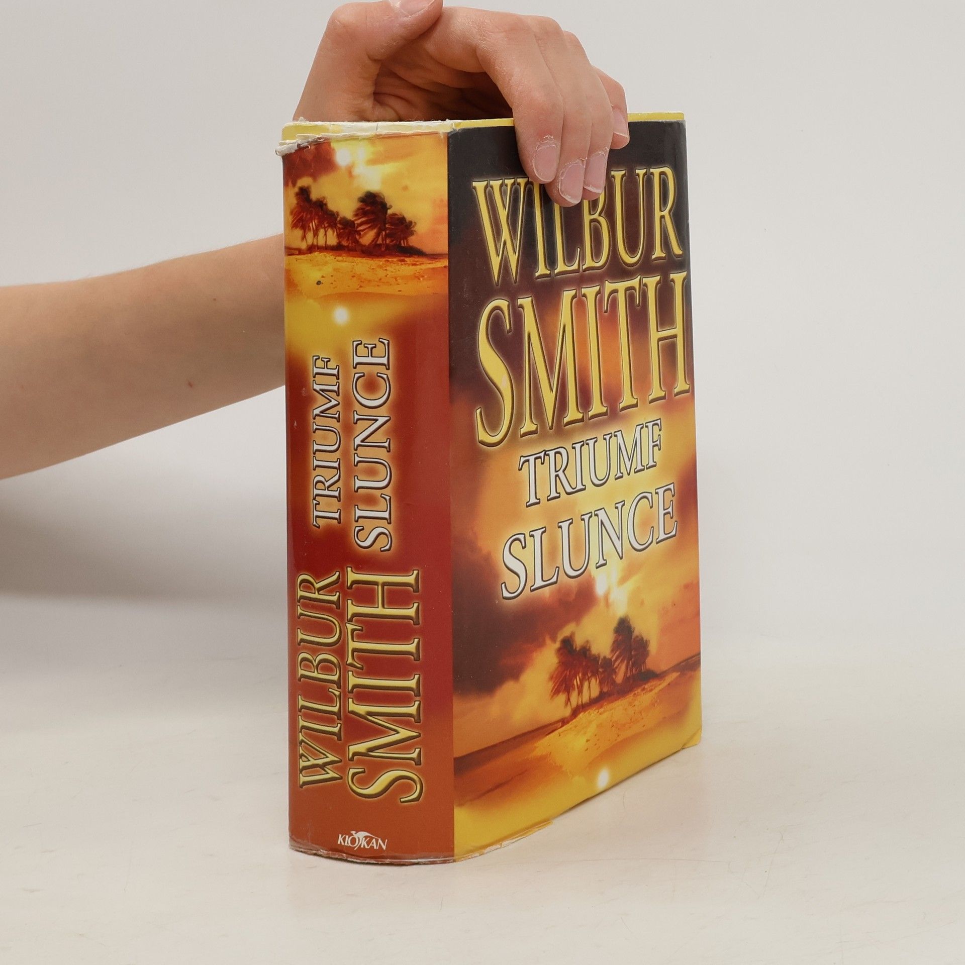 Wilbur Smith Triumf slunce