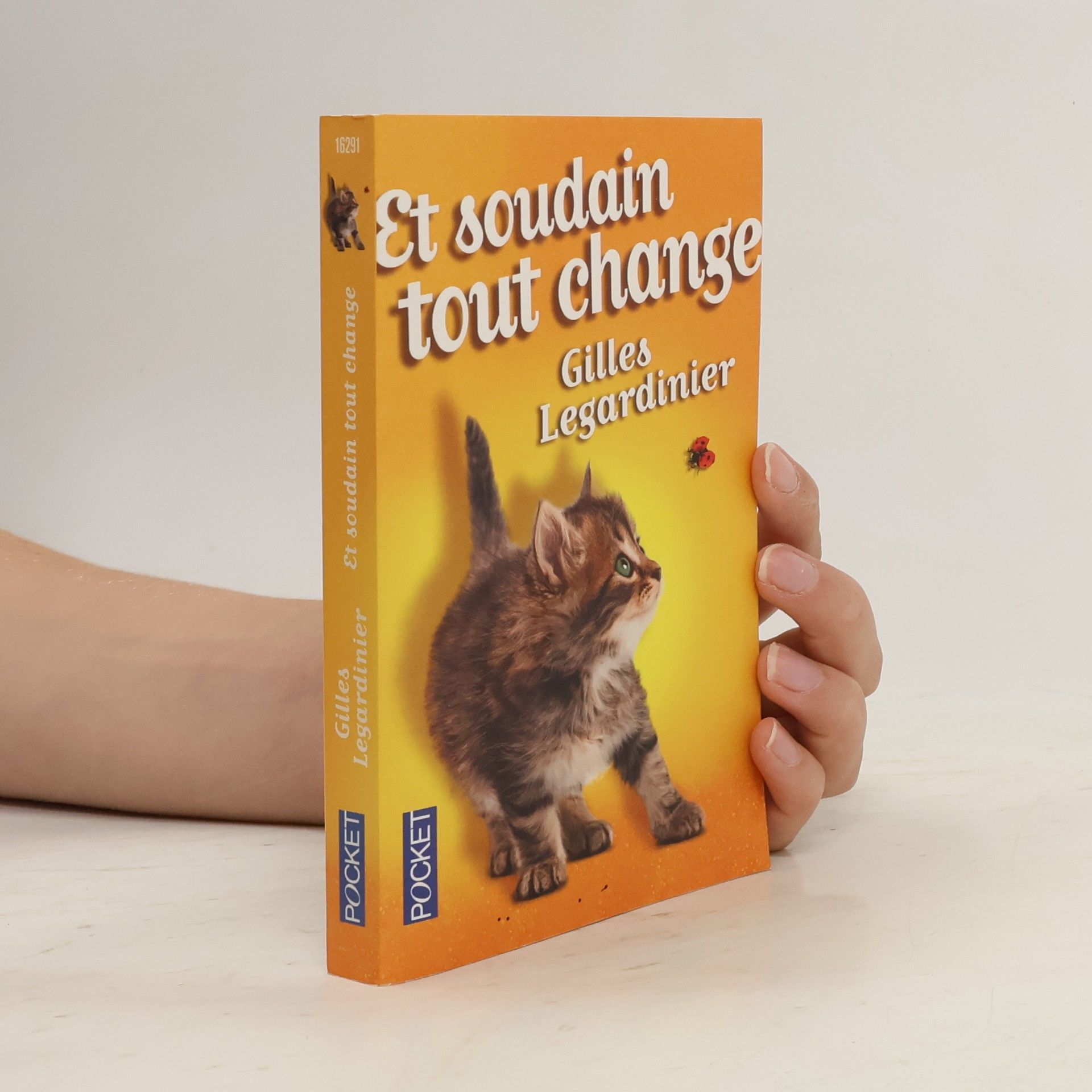 Gilles Legardinier Et soudain, tout change