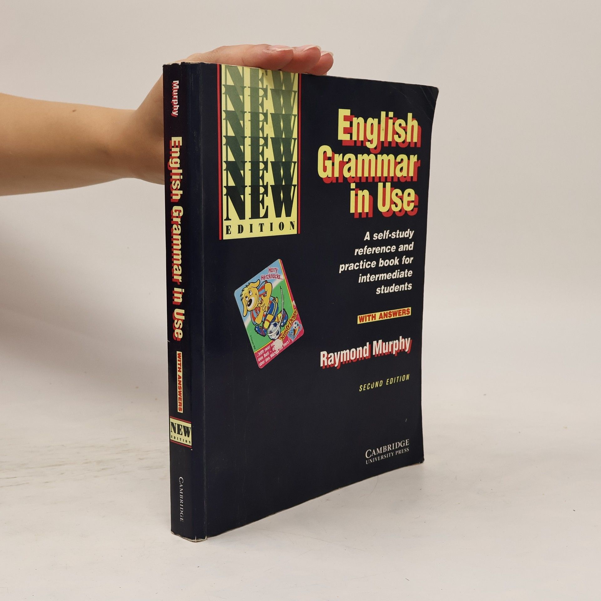 Raymond Murphy English Grammar in Use