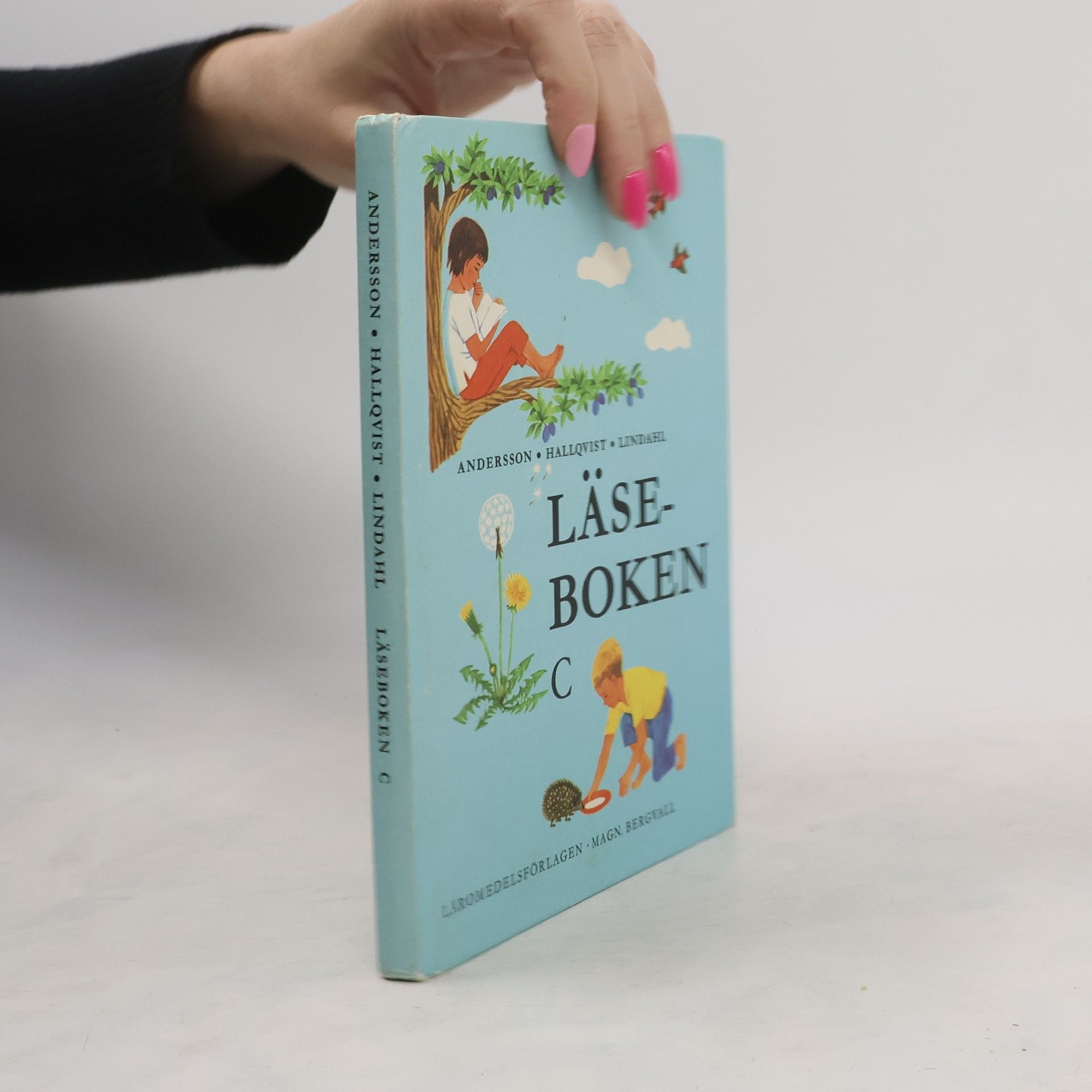 Kolektiv autorů Läseboken