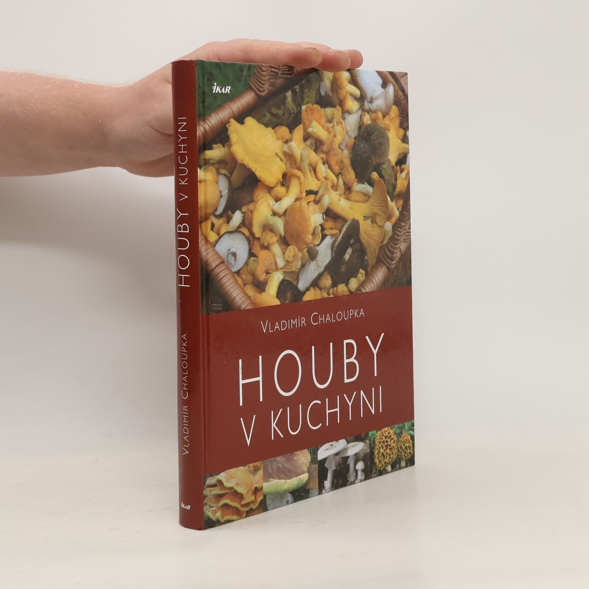 Vladimír Chaloupka Houby v kuchyni