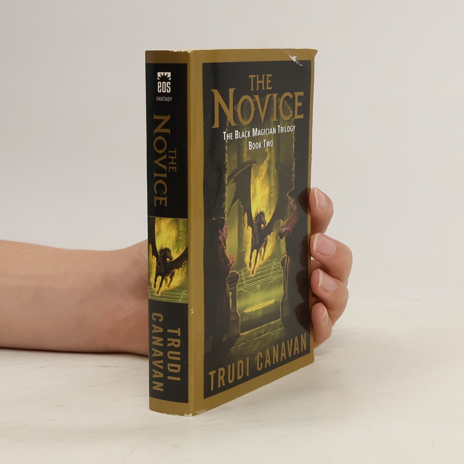 Trudi Canavan The Novice: The Black Magician Trilogy, Book 2