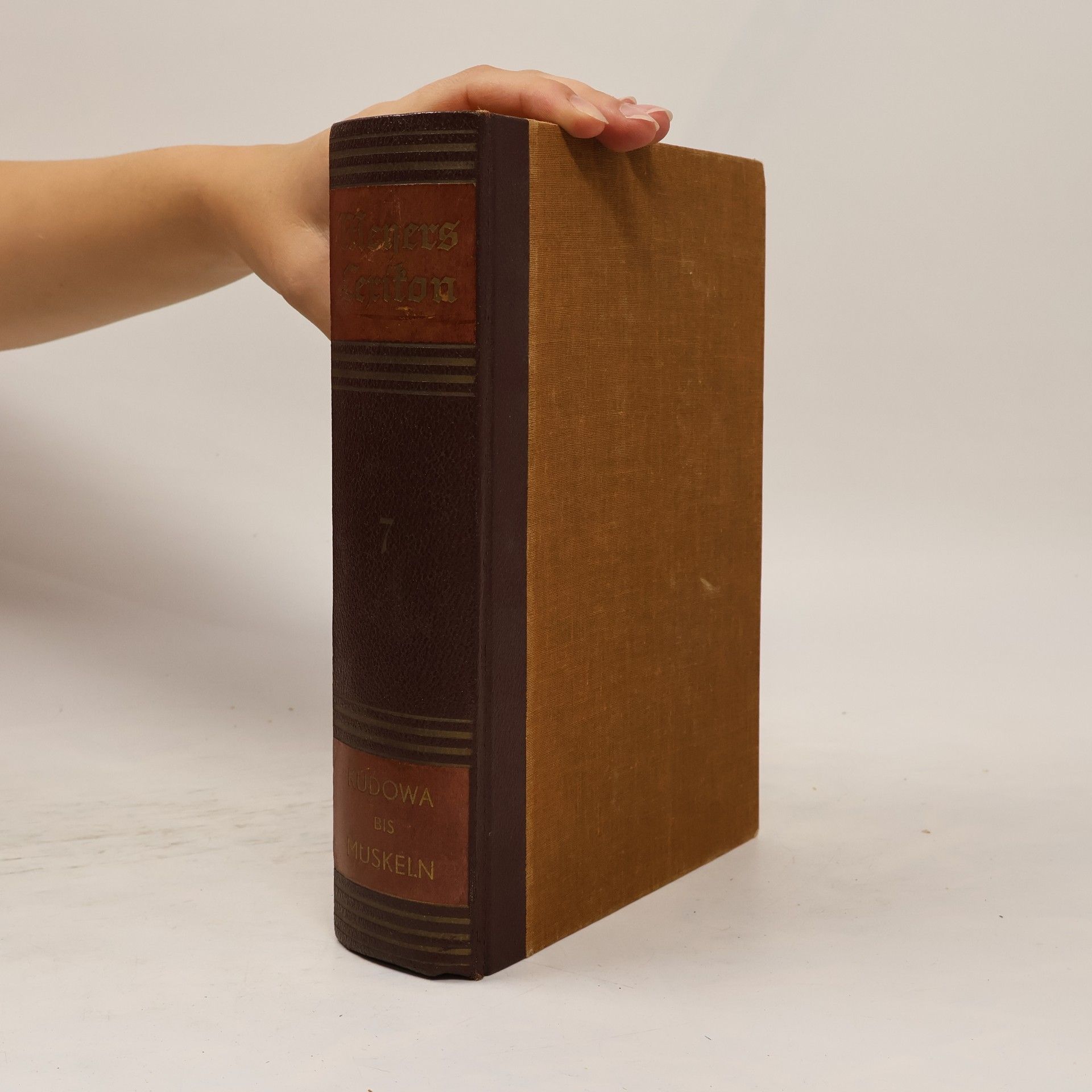 Autorenkollektiv Meyers Lexikon 7