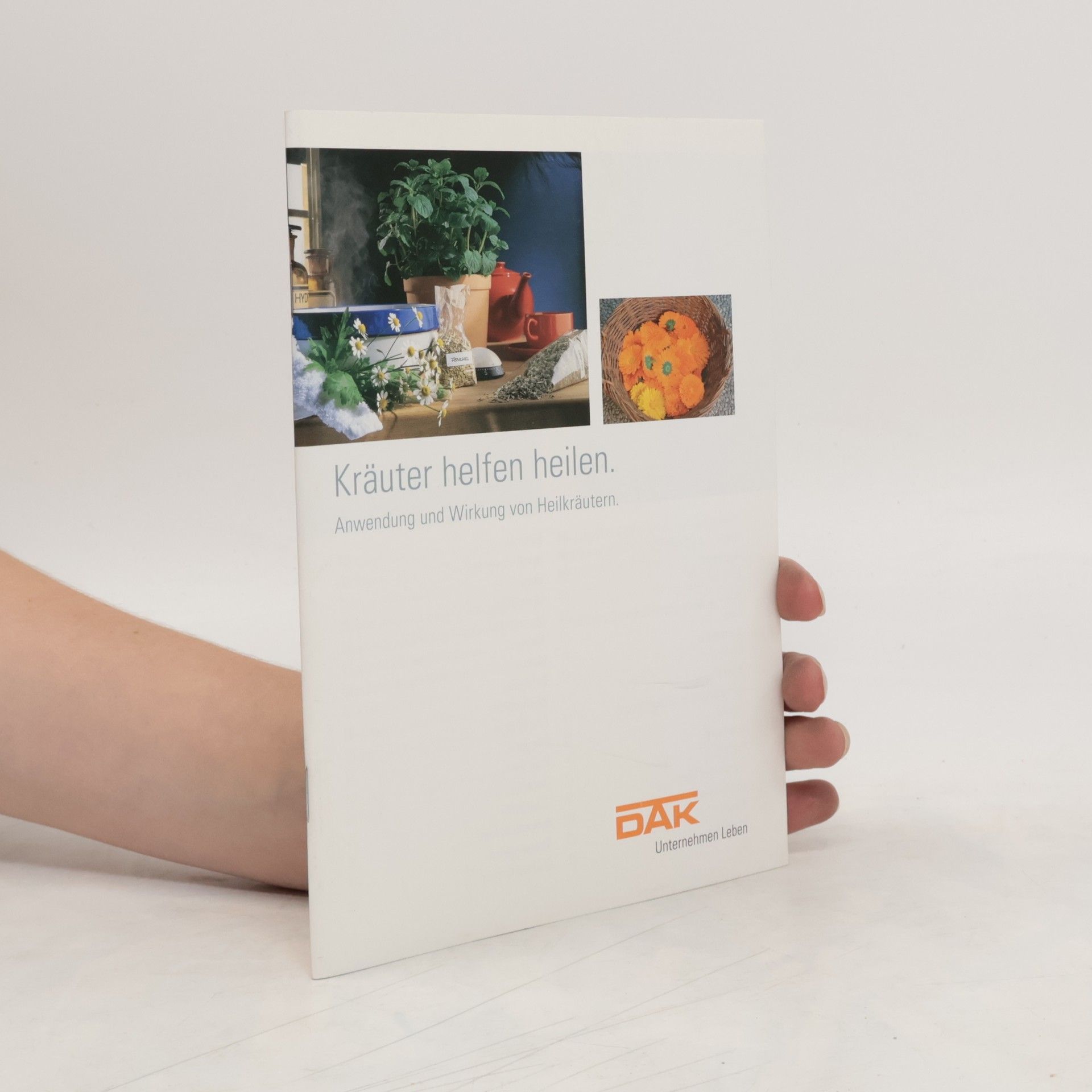 Autorenkollektiv Kräuter helfen heilen