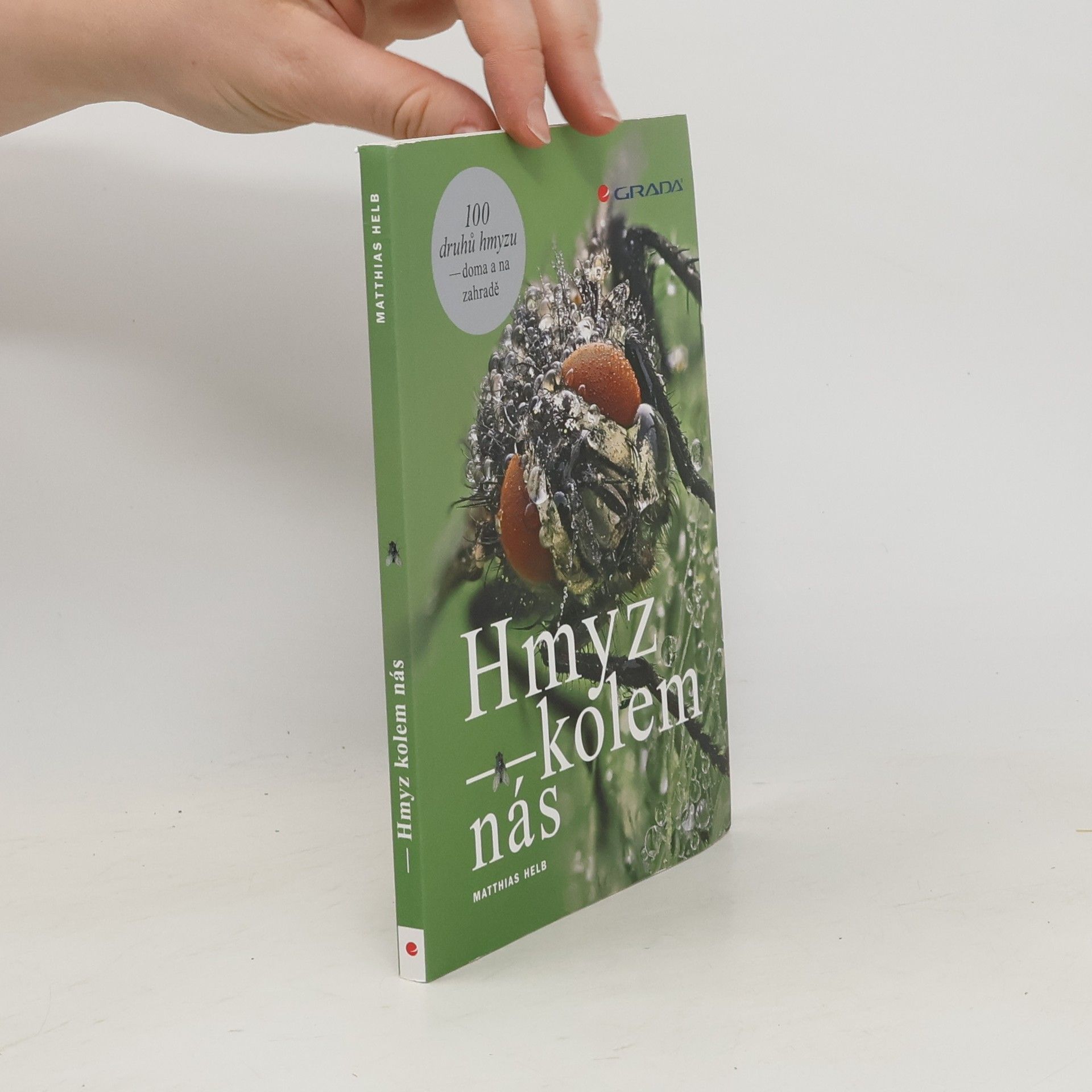 Matthias Helb Hmyz kolem nás