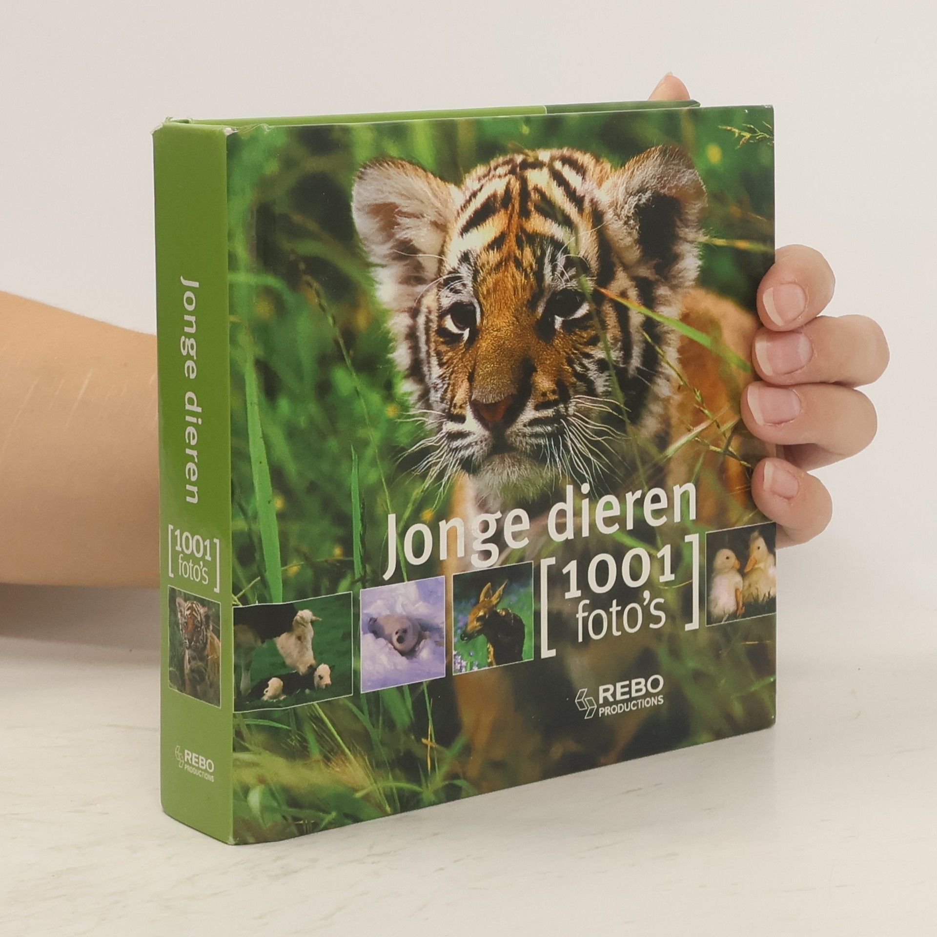 Suzanne Millarca Jonge dieren