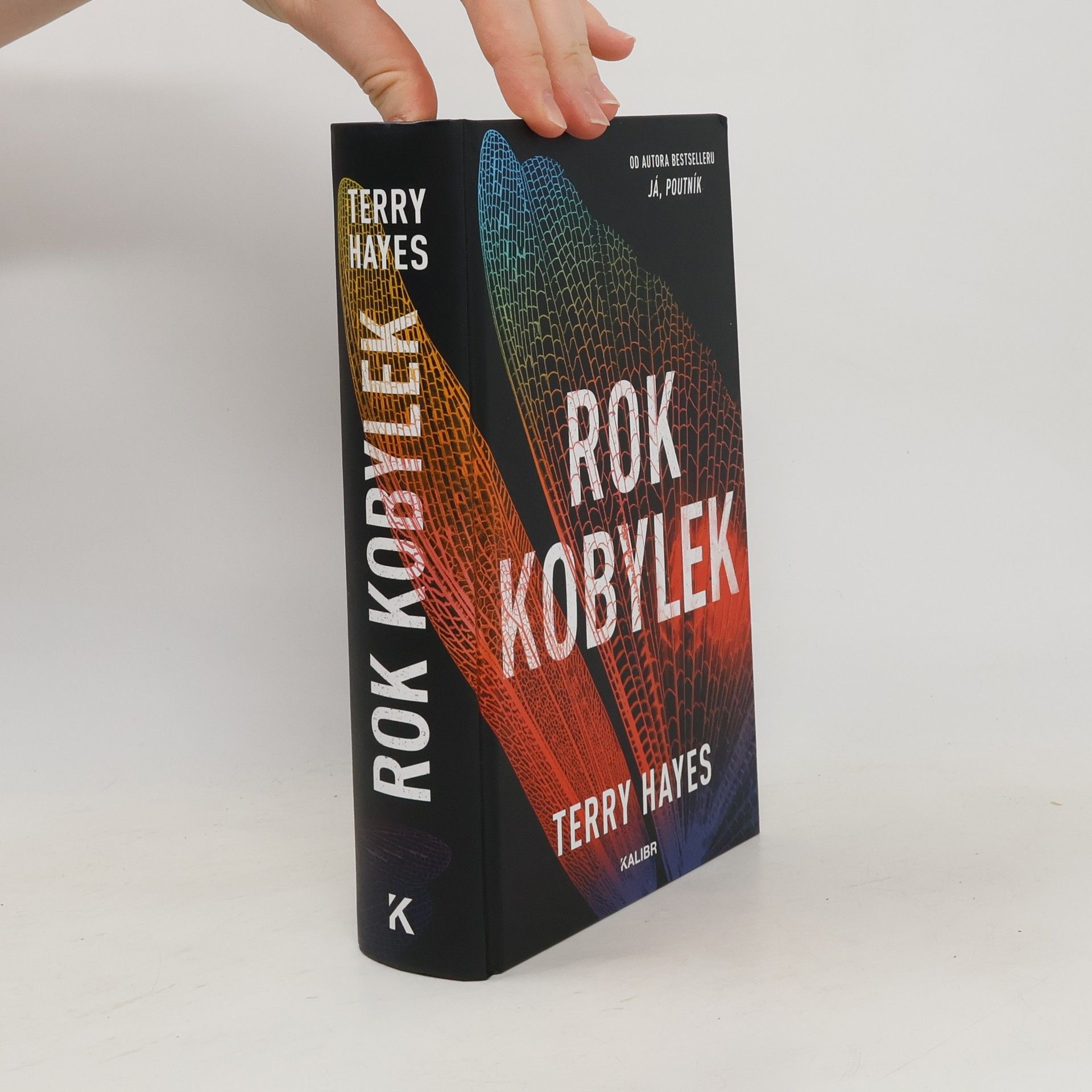 Terry Hayes Rok kobylek