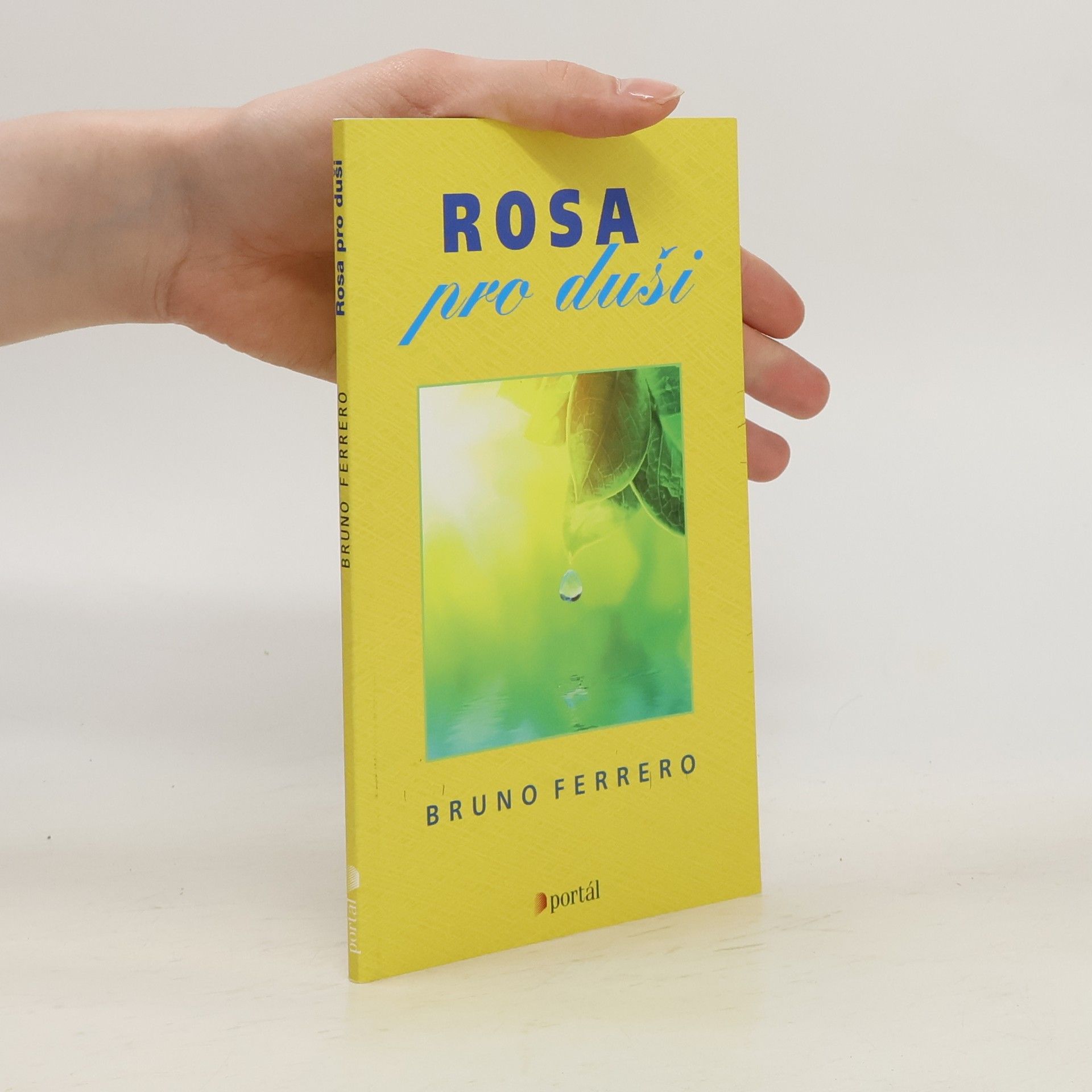 Bruno Ferrero Rosa pro duši