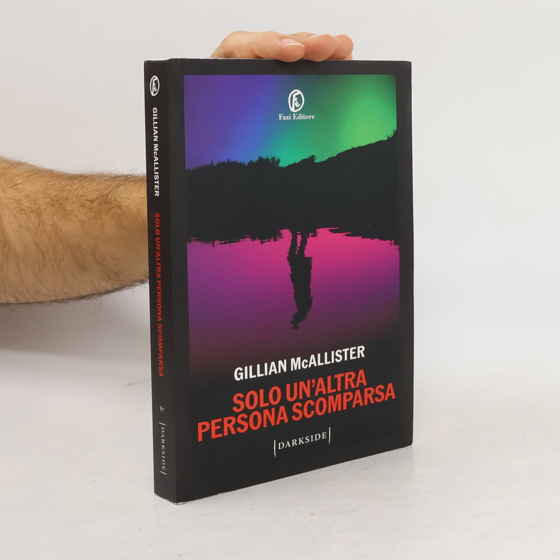 Gillian McAllister Solo un’altra persona scomparsa