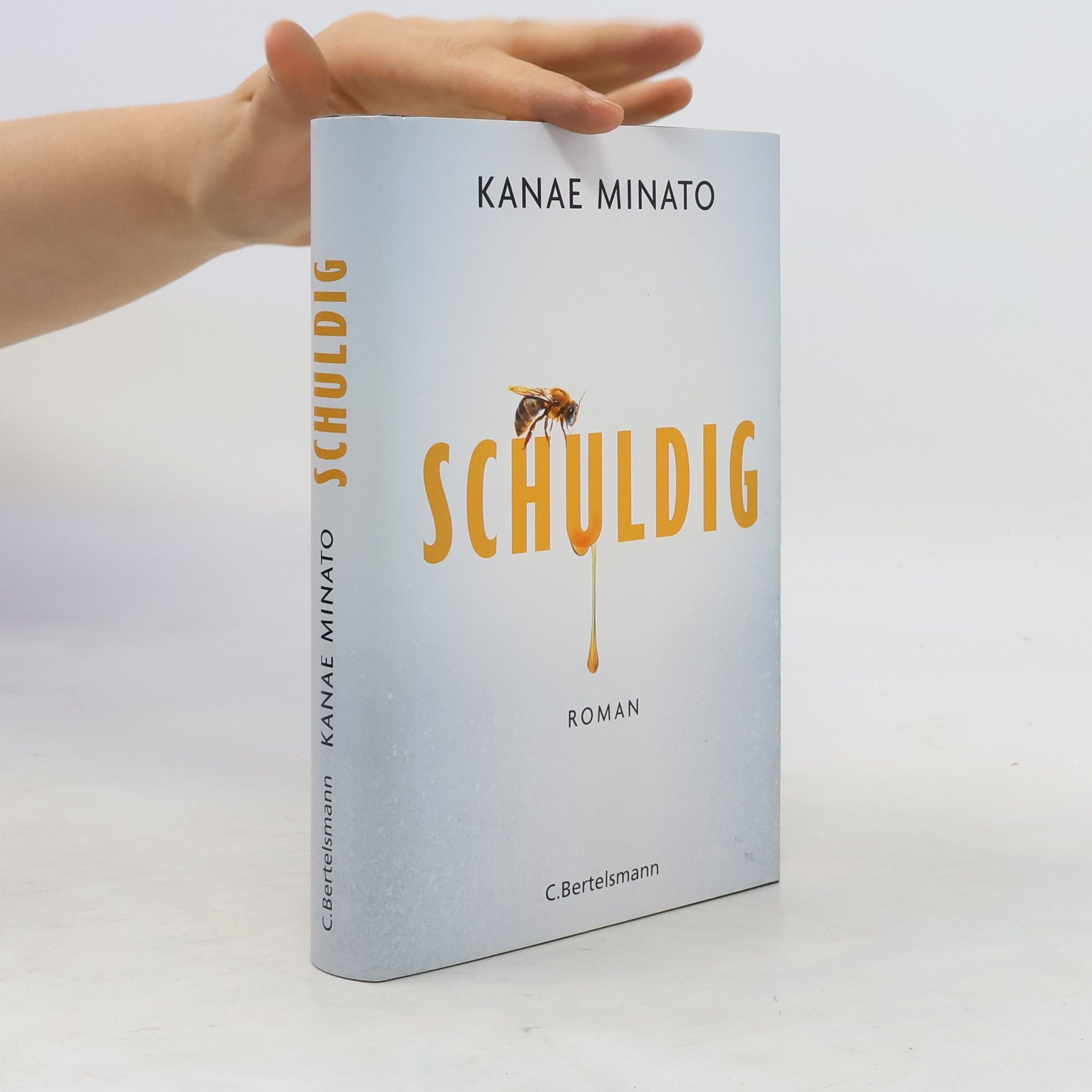 Kanae Minato Schuldig