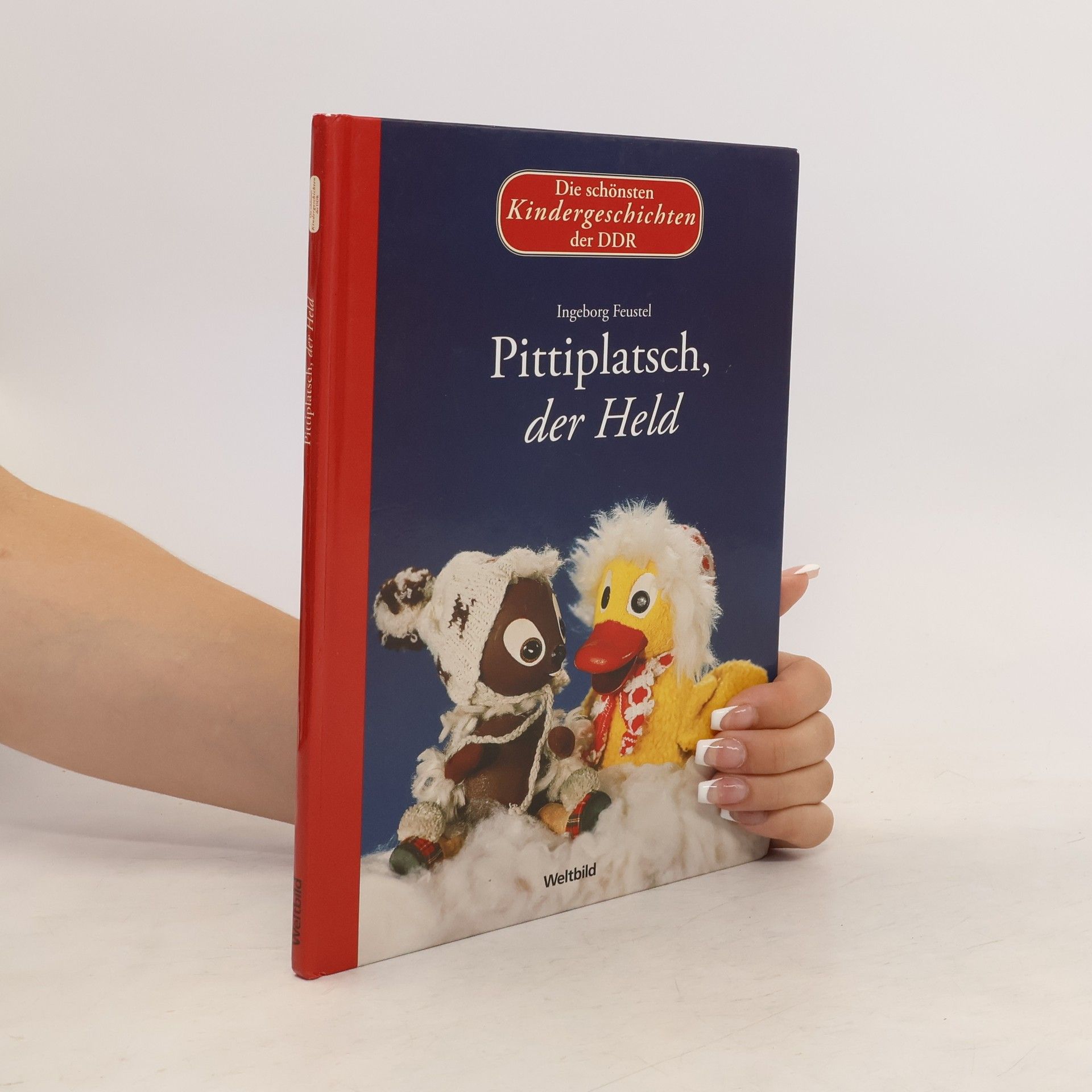AA.VV. Pittiplatsch, der Held