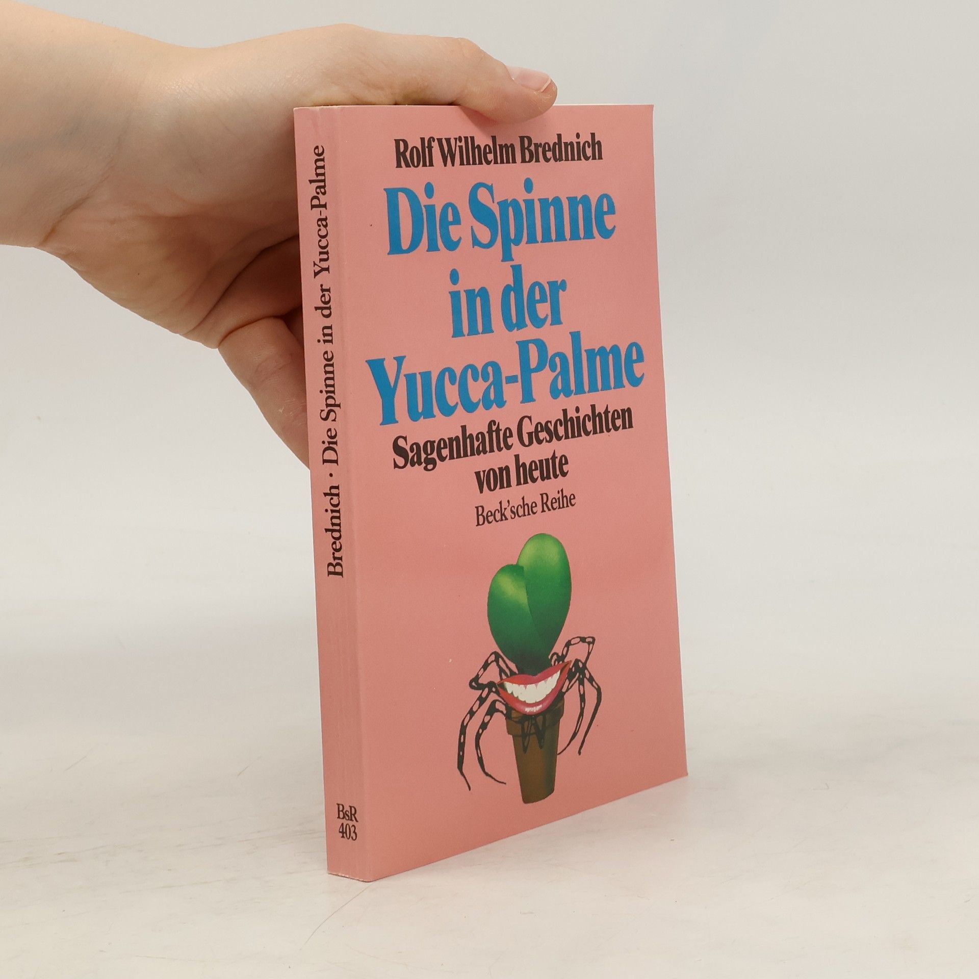 Rolf Wilhelm Brednich Die Spinne in der Yucca-Palme