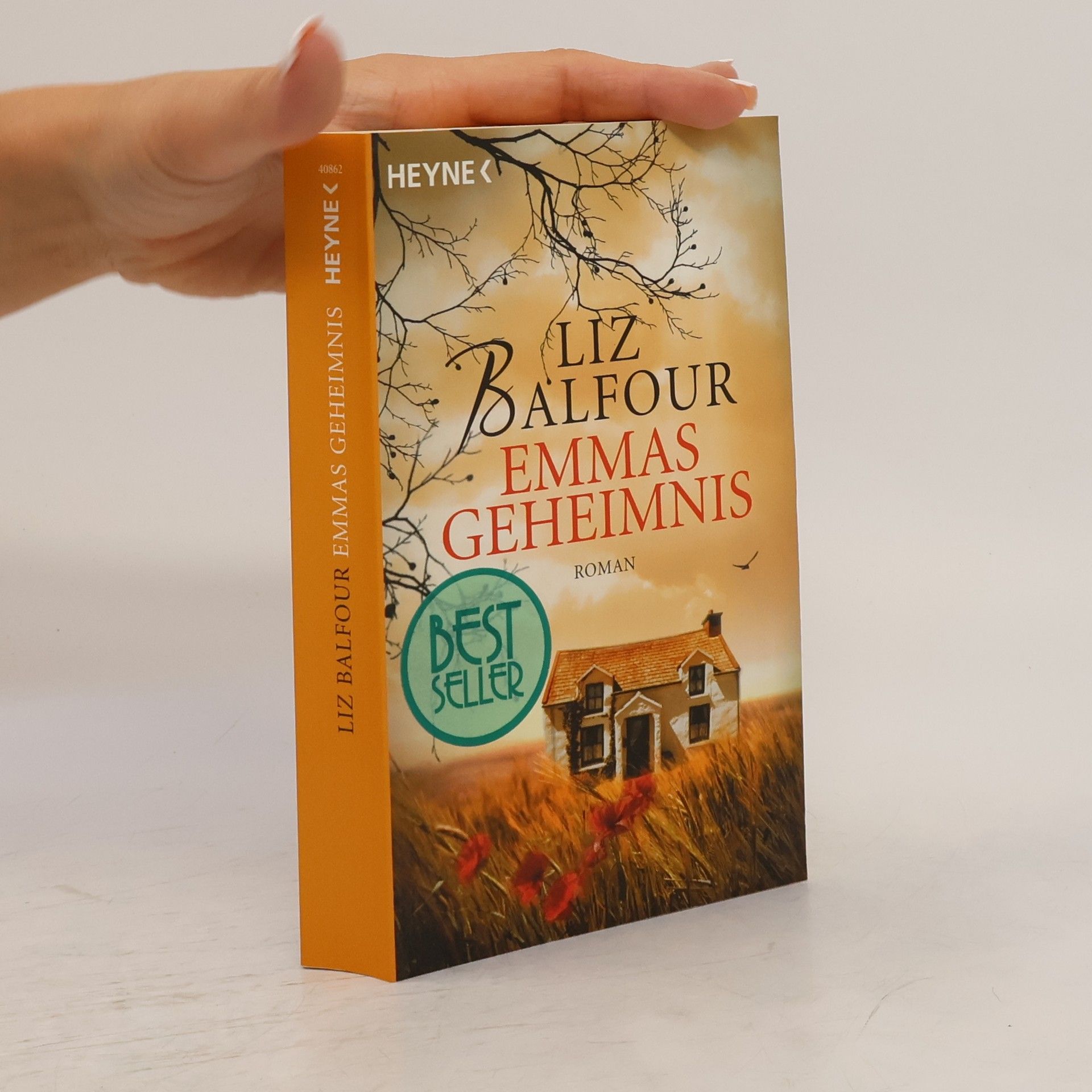 Liz Balfour Emmas Geheimnis