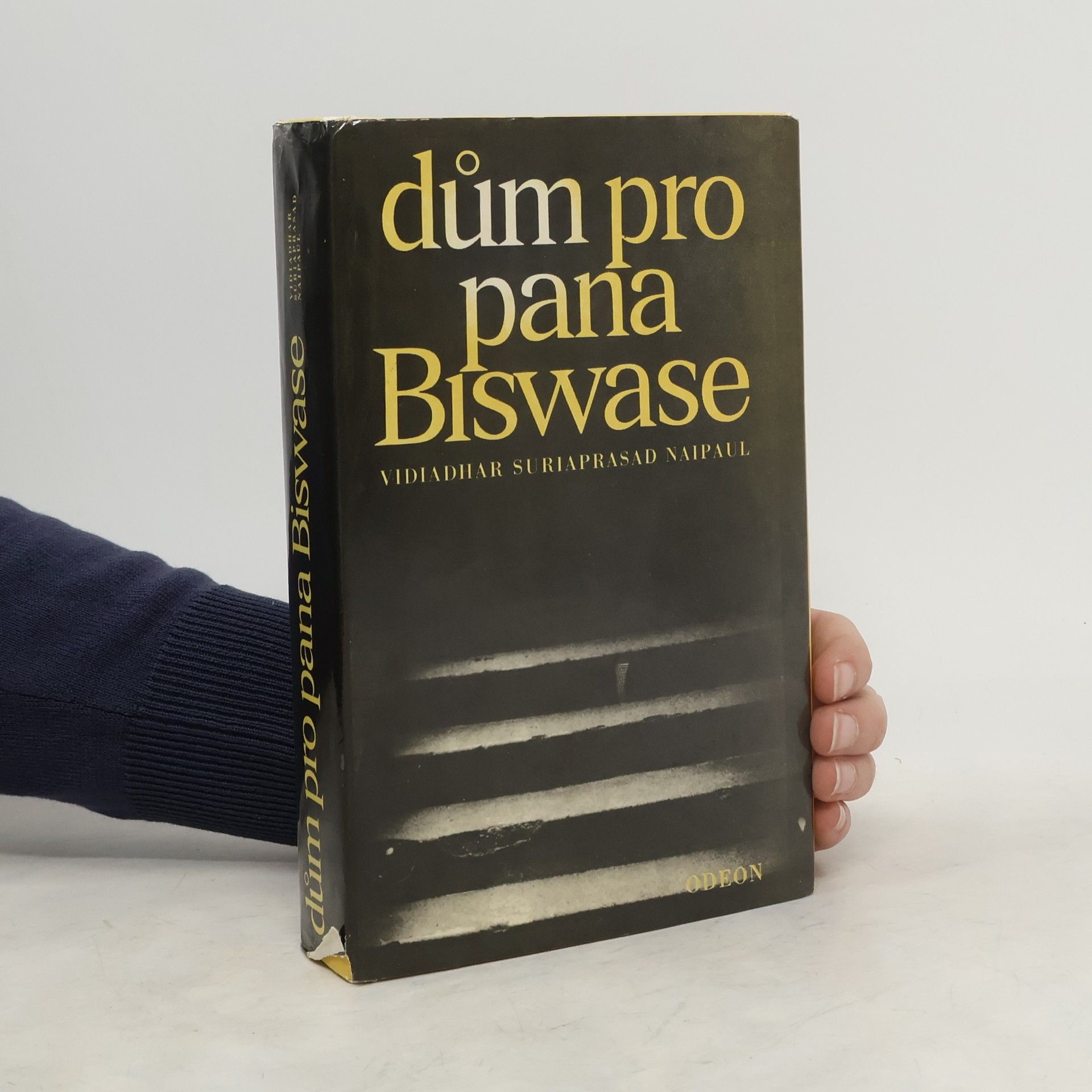 V. S. Naipaul Dům pro pana Biswase