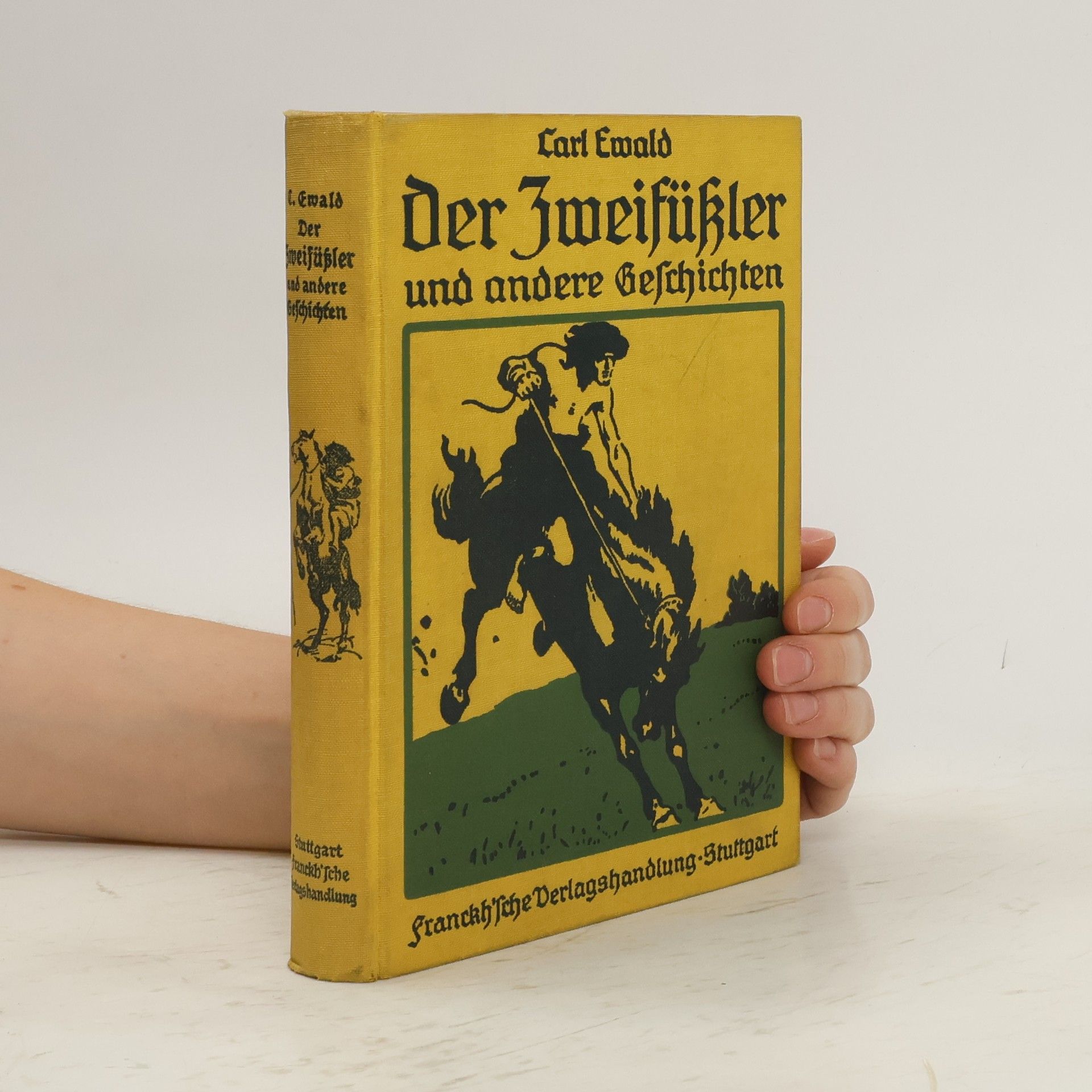 Karl Ewald Der Zweifügler und andere Geschichten
