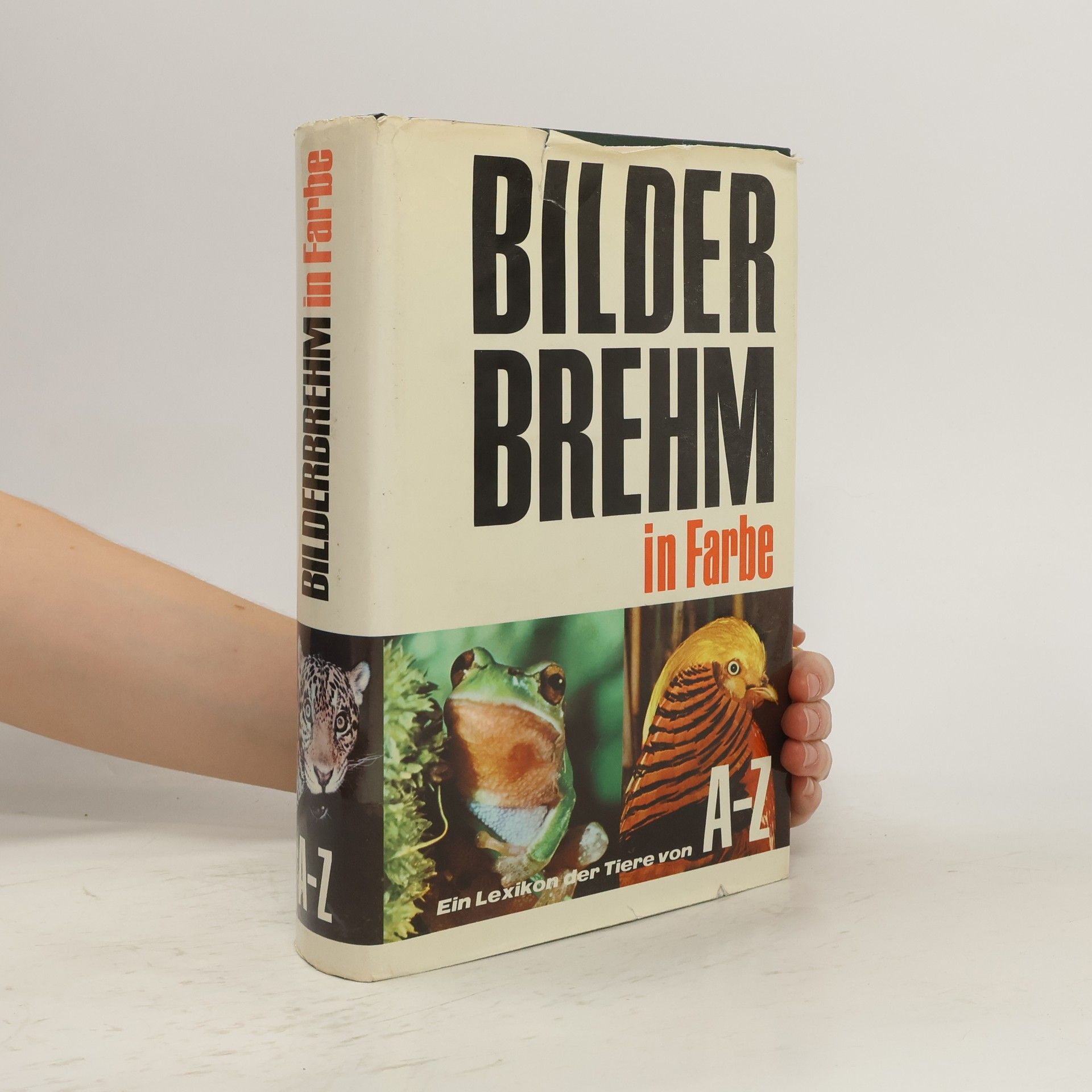 Ulrich Mohr-Matuschek Bilder Brehm in Farbe. Ein Lexikon der Tiere von A - Z