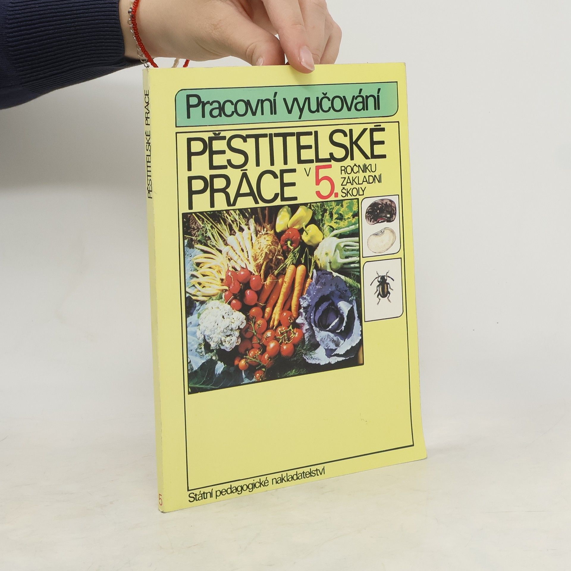 Autorenkollektiv Pěstitelské práce v 5. ročníku základní školy